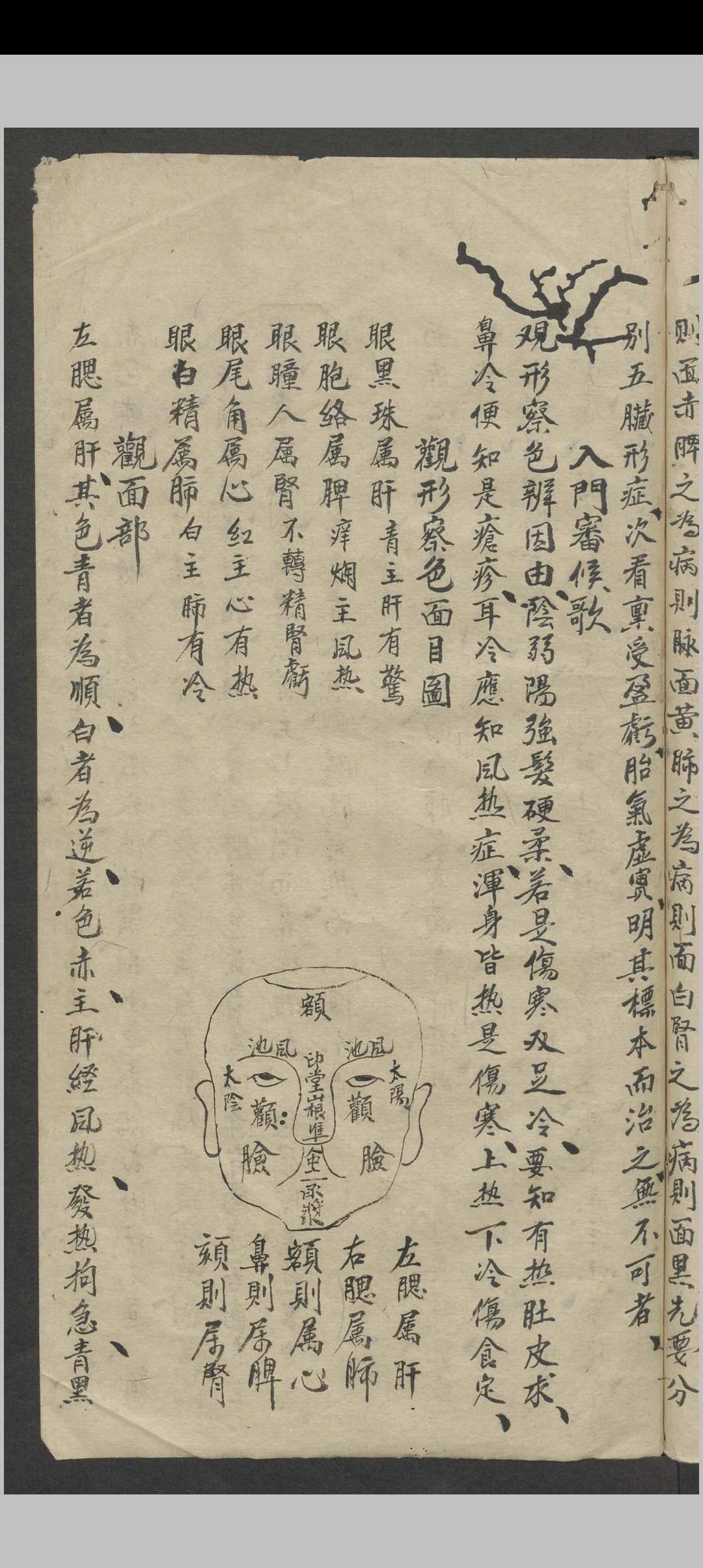图片[24]中华古籍网-专注古书收集罗延龄 开卷有益（医） , 1943中华古籍网-专注古书收集中华古籍网