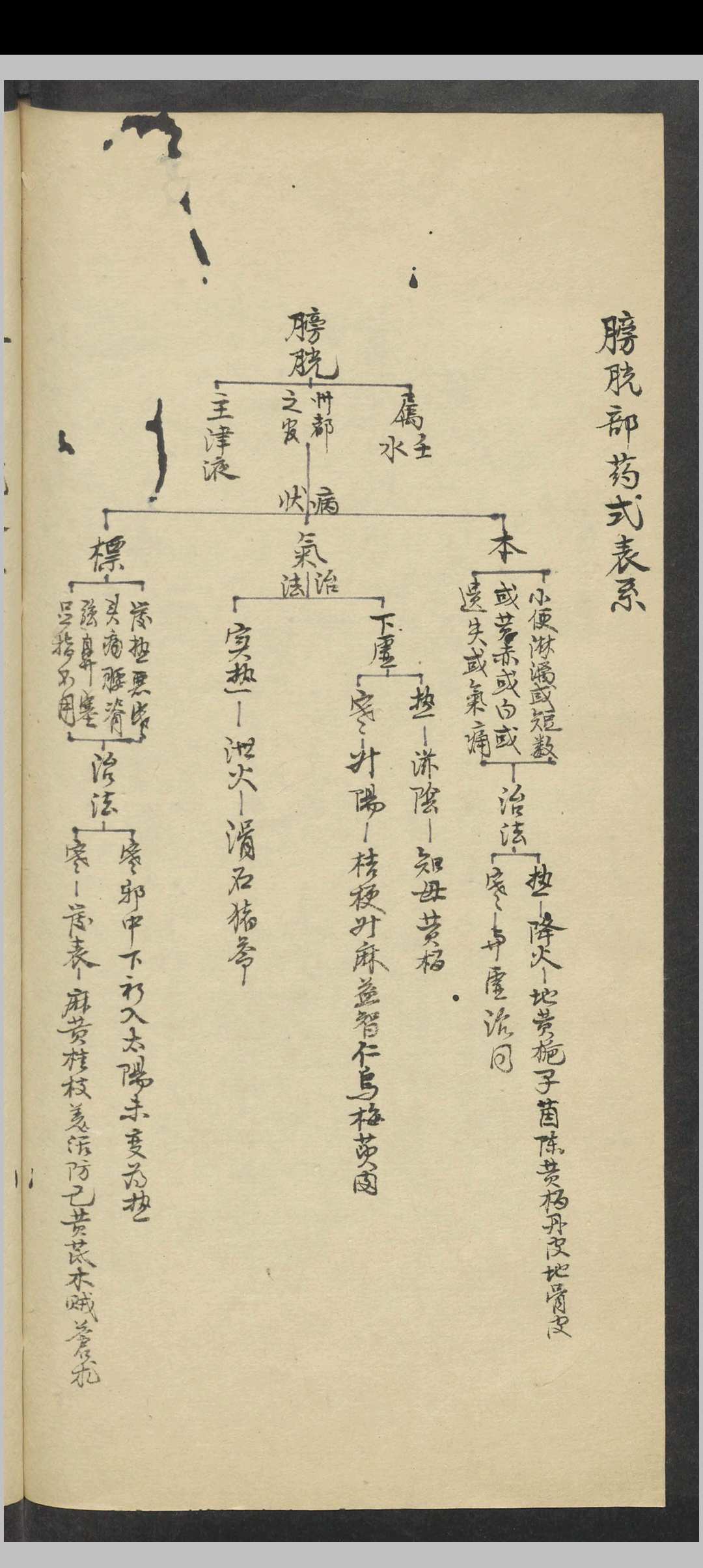 图片[16]中华古籍网-专注古书收集张元素 臟腑标本药式 , Shortly after 1927中华古籍网-专注古书收集中华古籍网