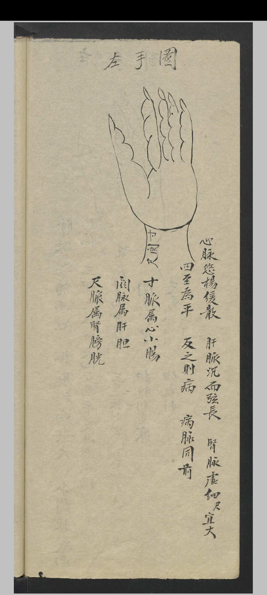 图片[10]中华古籍网-专注古书收集张宗良 图像咽喉科 , 1843中华古籍网-专注古书收集中华古籍网