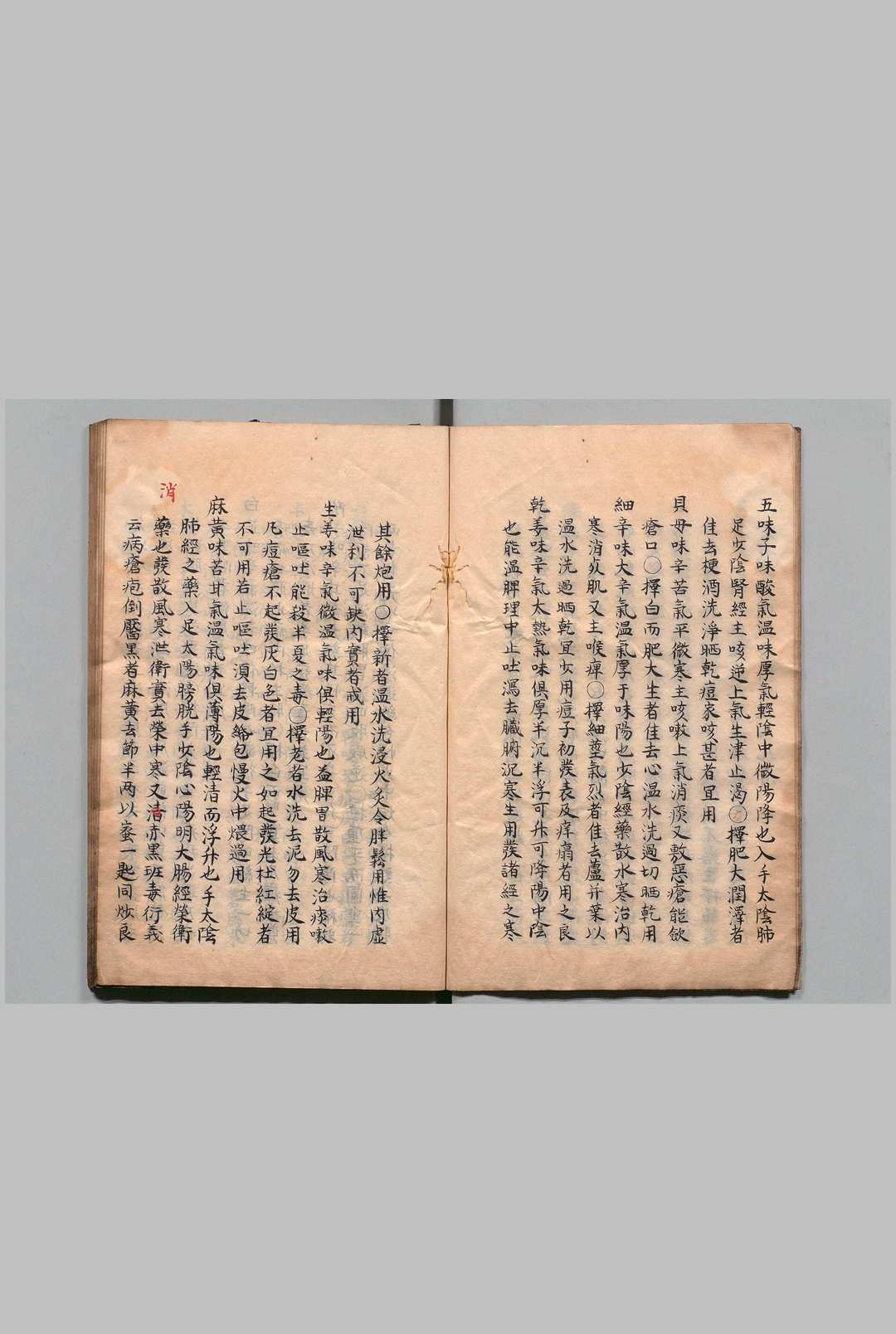 图片[4]中华古籍网-专注古书收集痘疹幼幼心书  17卷 吕献策（明）写本 ,文政3年中华古籍网-专注古书收集中华古籍网