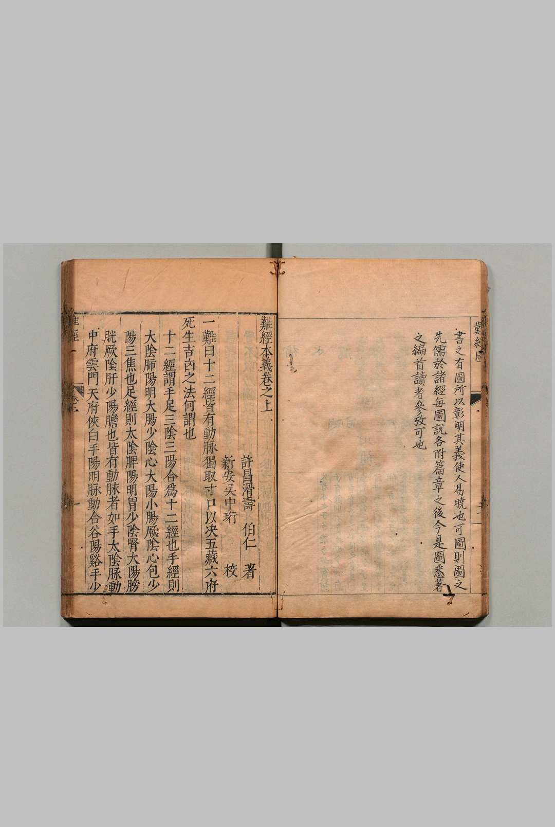 图片[6]中华古籍网-专注古书收集难经本义 ２卷 滑寿（元）吴中珩（明）刊本 ,明万历间中华古籍网-专注古书收集中华古籍网