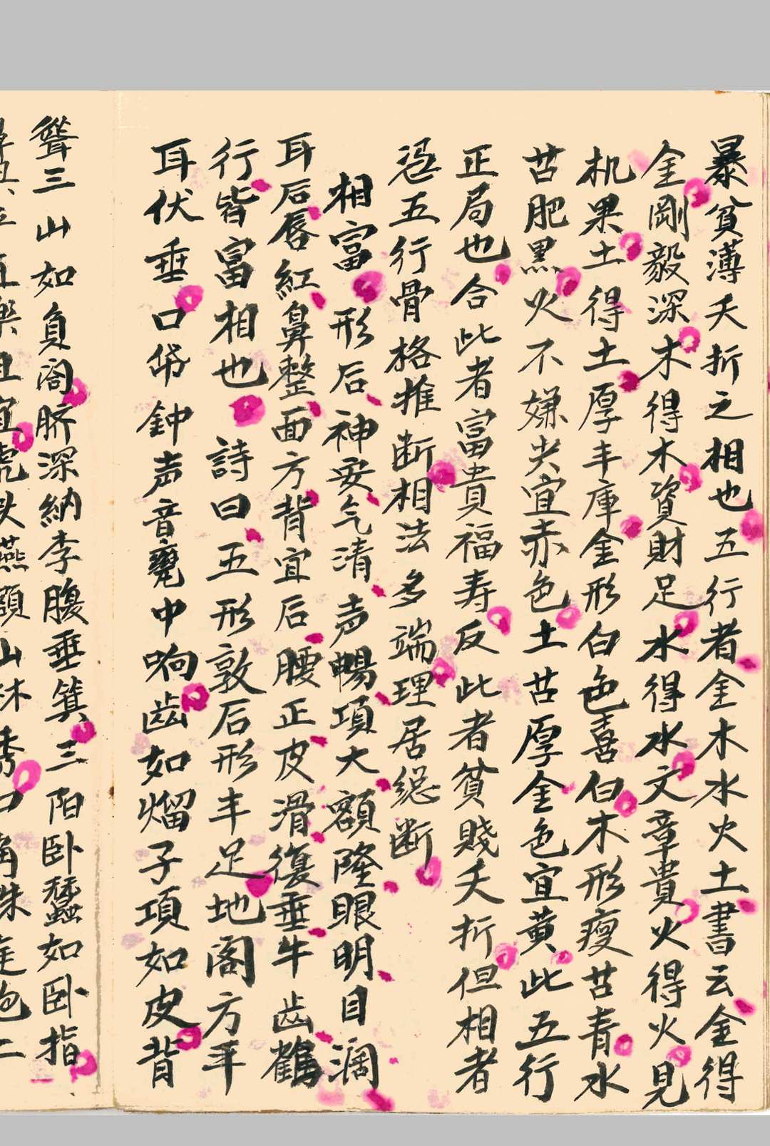 图片[5]中华古籍网-专注古书收集《柳庄相法》刘愉安抄中华古籍网-专注古书收集中华古籍网