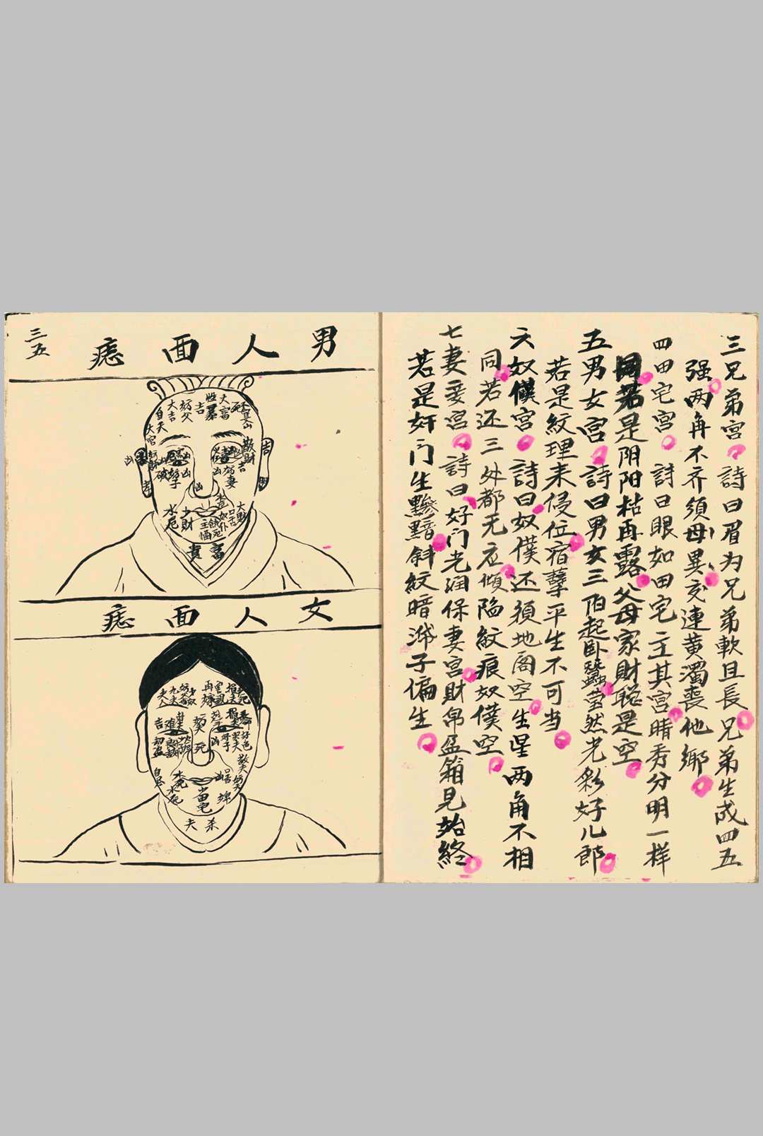 图片[17]中华古籍网-专注古书收集《柳庄相法》刘愉安抄中华古籍网-专注古书收集中华古籍网