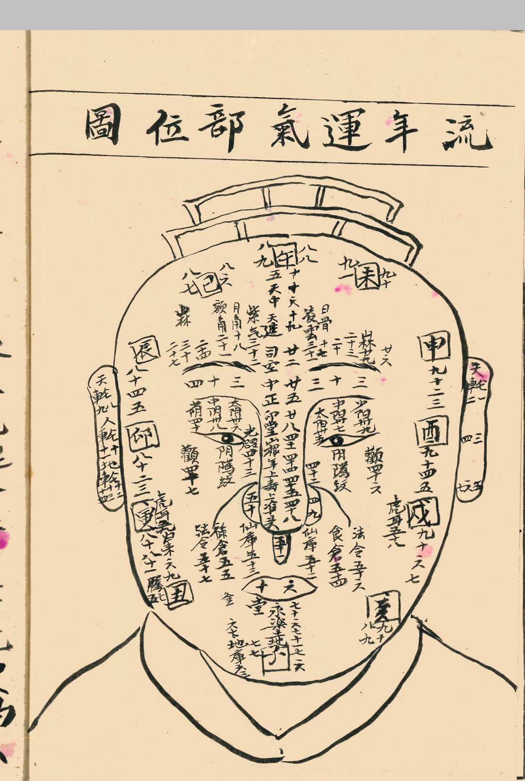 图片[10]中华古籍网-专注古书收集《柳庄相法》刘愉安抄中华古籍网-专注古书收集中华古籍网
