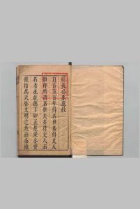 东坡集选 苏长公集选　50卷 集余（杂说）・本传・苏文忠公年谱各１卷 外纪２卷 外纪逸编１卷 陈梦槐（明）王世贞（明）王宗稷（宋）璩之璞（明）中华古籍网-专注古书收集中华古籍网