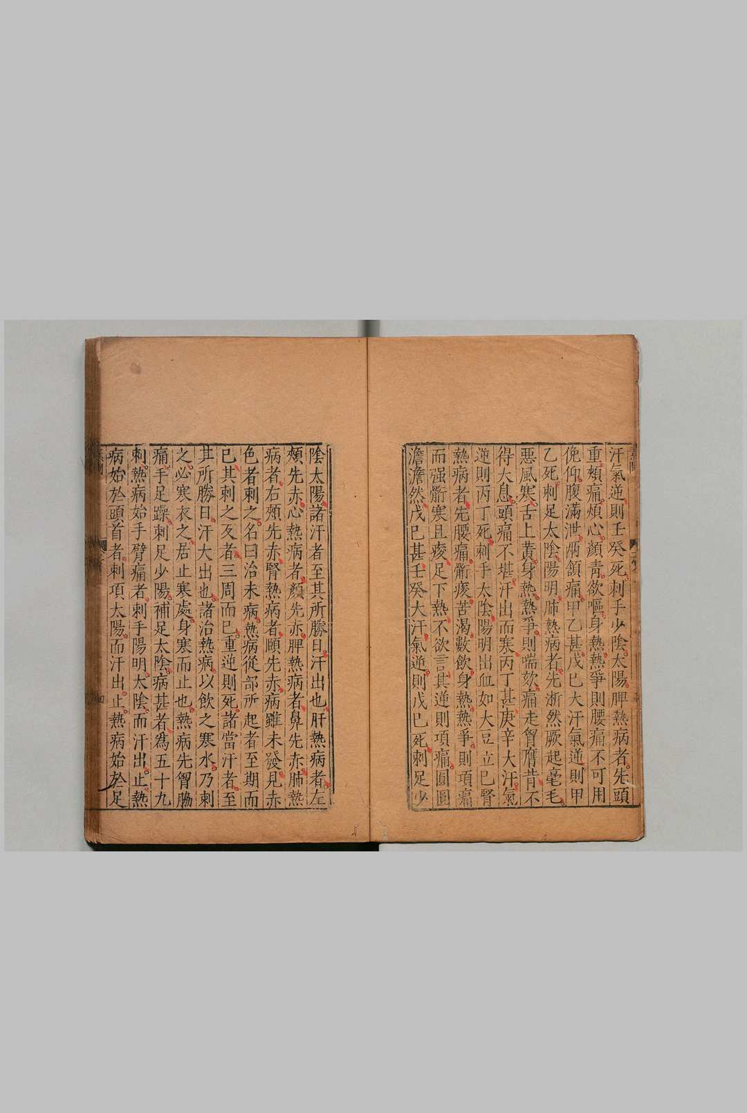 图片[4]中华古籍网-专注古书收集东垣先生医学纲目 12卷（卷１欠）拾遗伤寒撮要１卷 合13卷 王执中 谬存济 明刊本中华古籍网-专注古书收集中华古籍网