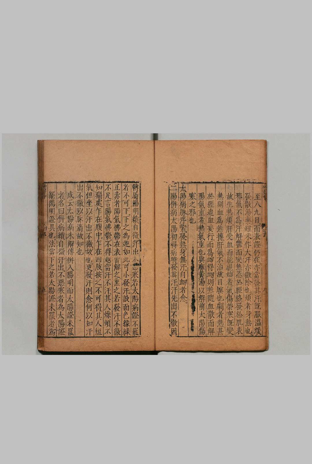 图片[5]中华古籍网-专注古书收集东垣先生医学纲目 12卷（卷１欠）拾遗伤寒撮要１卷 合13卷 王执中 谬存济 明刊本中华古籍网-专注古书收集中华古籍网