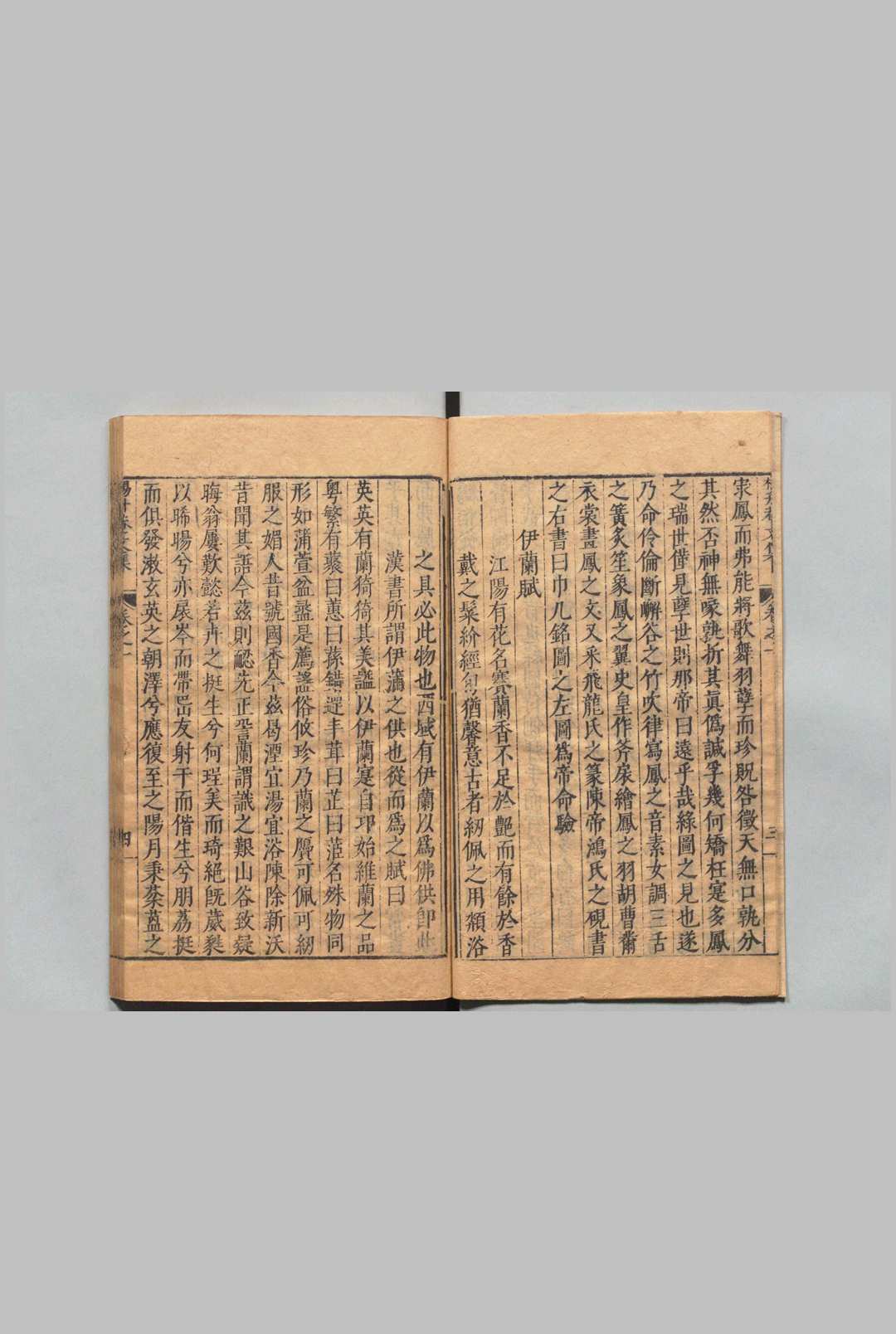 图片[7]中华古籍网-专注古书收集升菴先生文集 81卷 目４卷 杨慎 赵开美,明万历10年中华古籍网-专注古书收集中华古籍网
