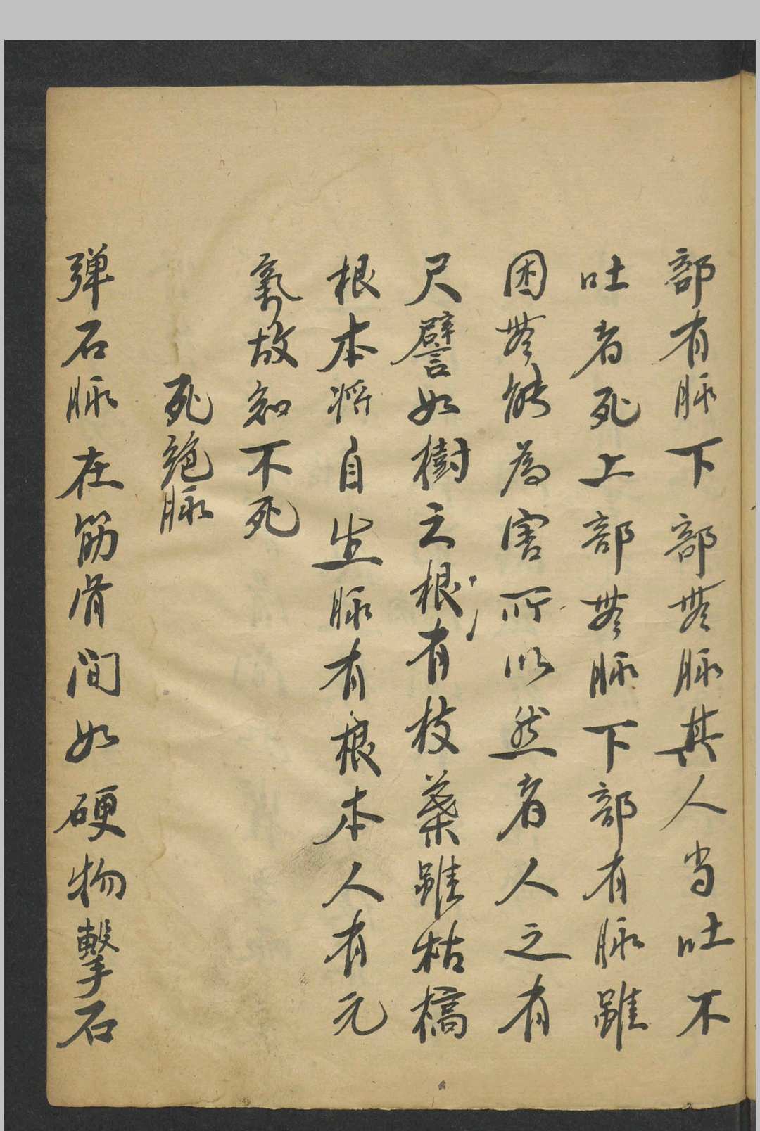 图片[11]中华古籍网-专注古书收集许兆桢 诊翼  1800中华古籍网-专注古书收集中华古籍网