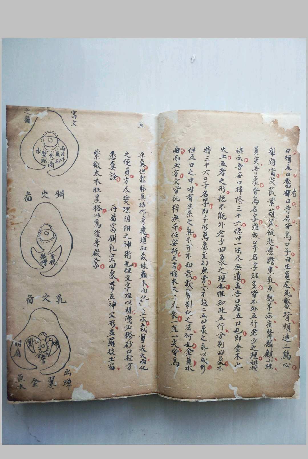 图片[5]中华古籍网-专注古书收集峦头砂法堪舆秘诀中华古籍网-专注古书收集中华古籍网