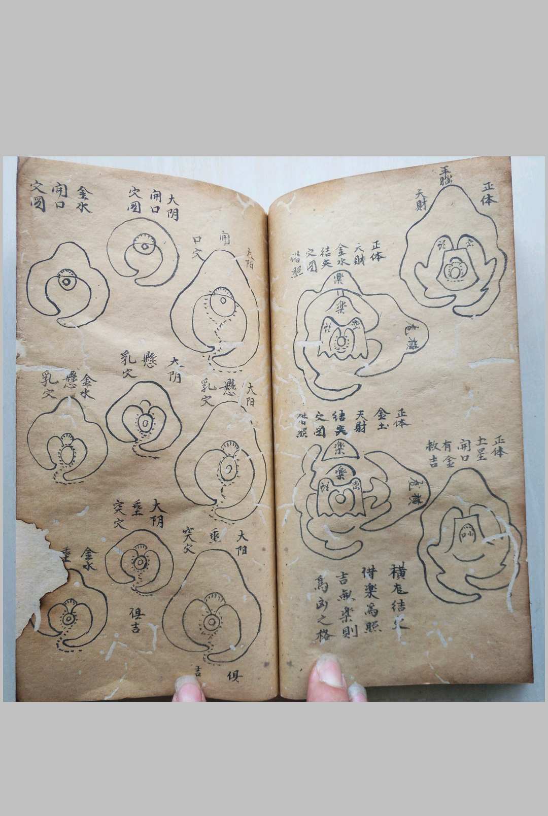 图片[18]中华古籍网-专注古书收集峦头砂法堪舆秘诀中华古籍网-专注古书收集中华古籍网