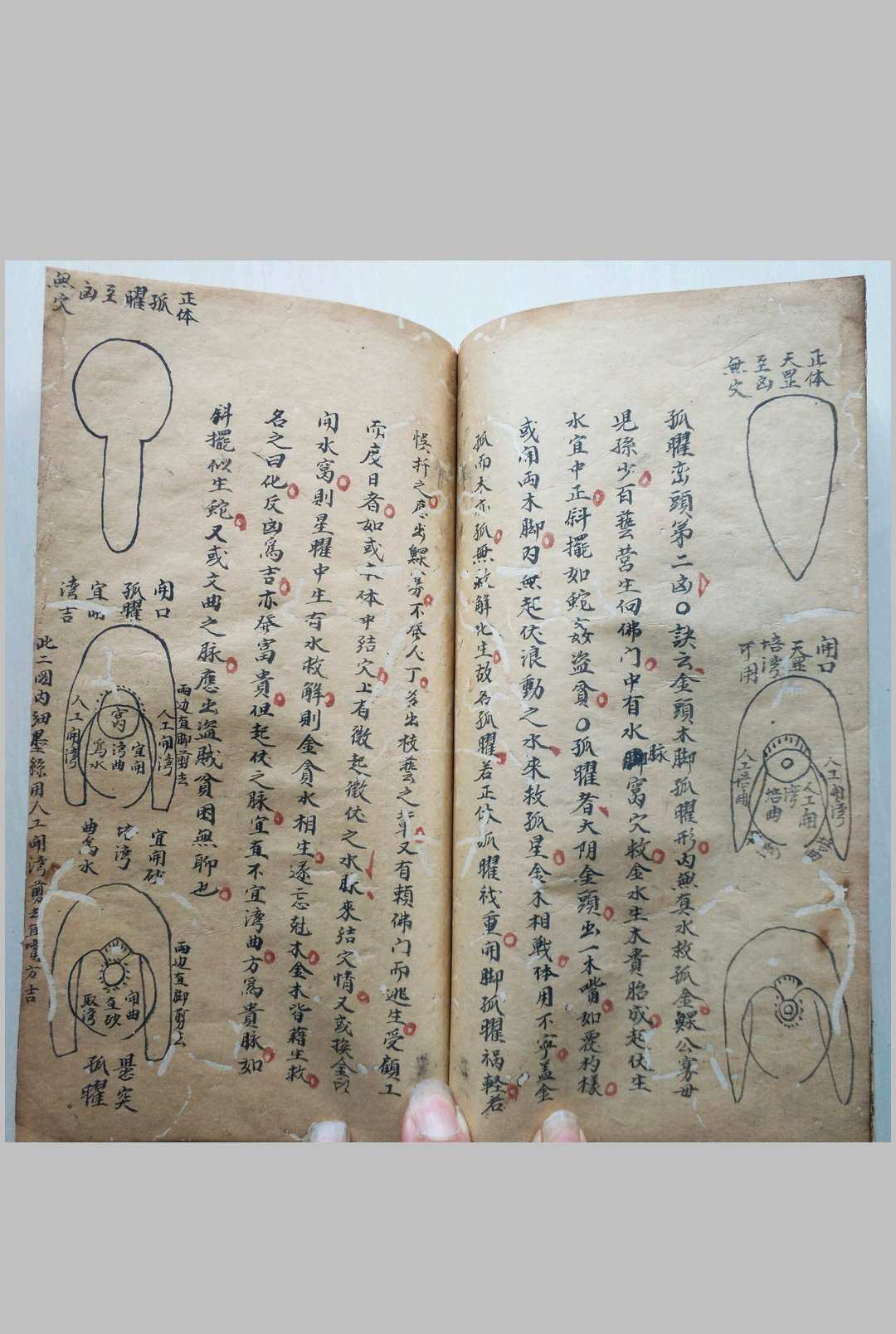 图片[13]中华古籍网-专注古书收集峦头砂法堪舆秘诀中华古籍网-专注古书收集中华古籍网