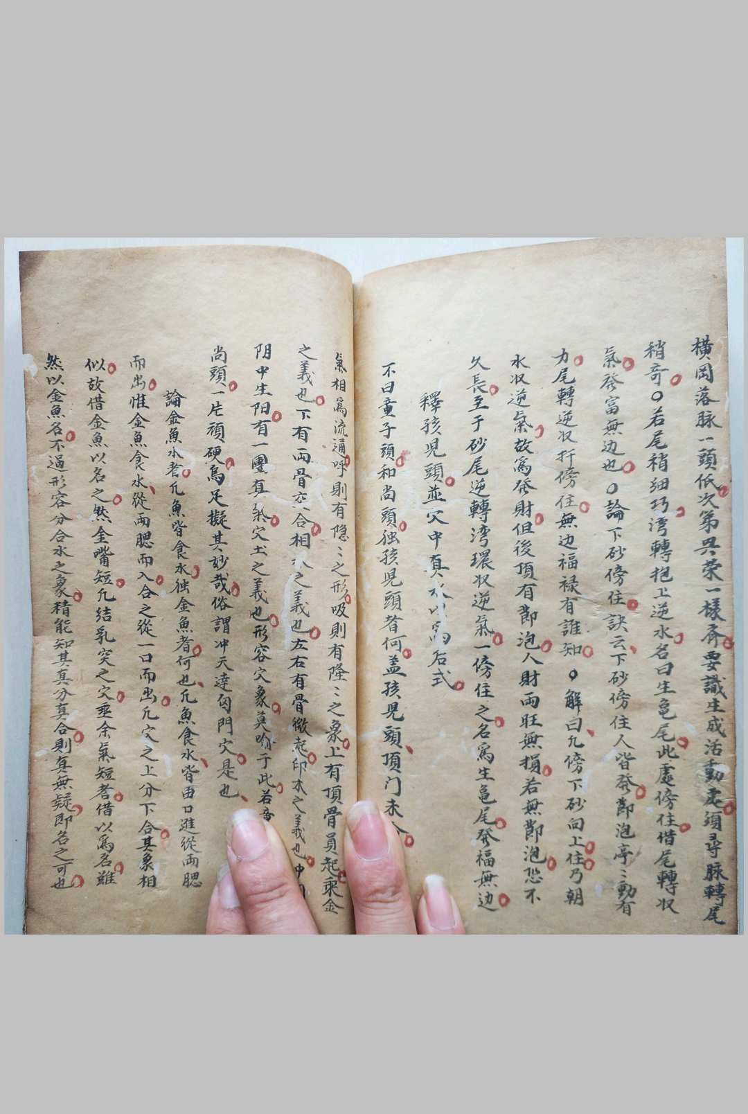 图片[21]中华古籍网-专注古书收集峦头砂法堪舆秘诀中华古籍网-专注古书收集中华古籍网