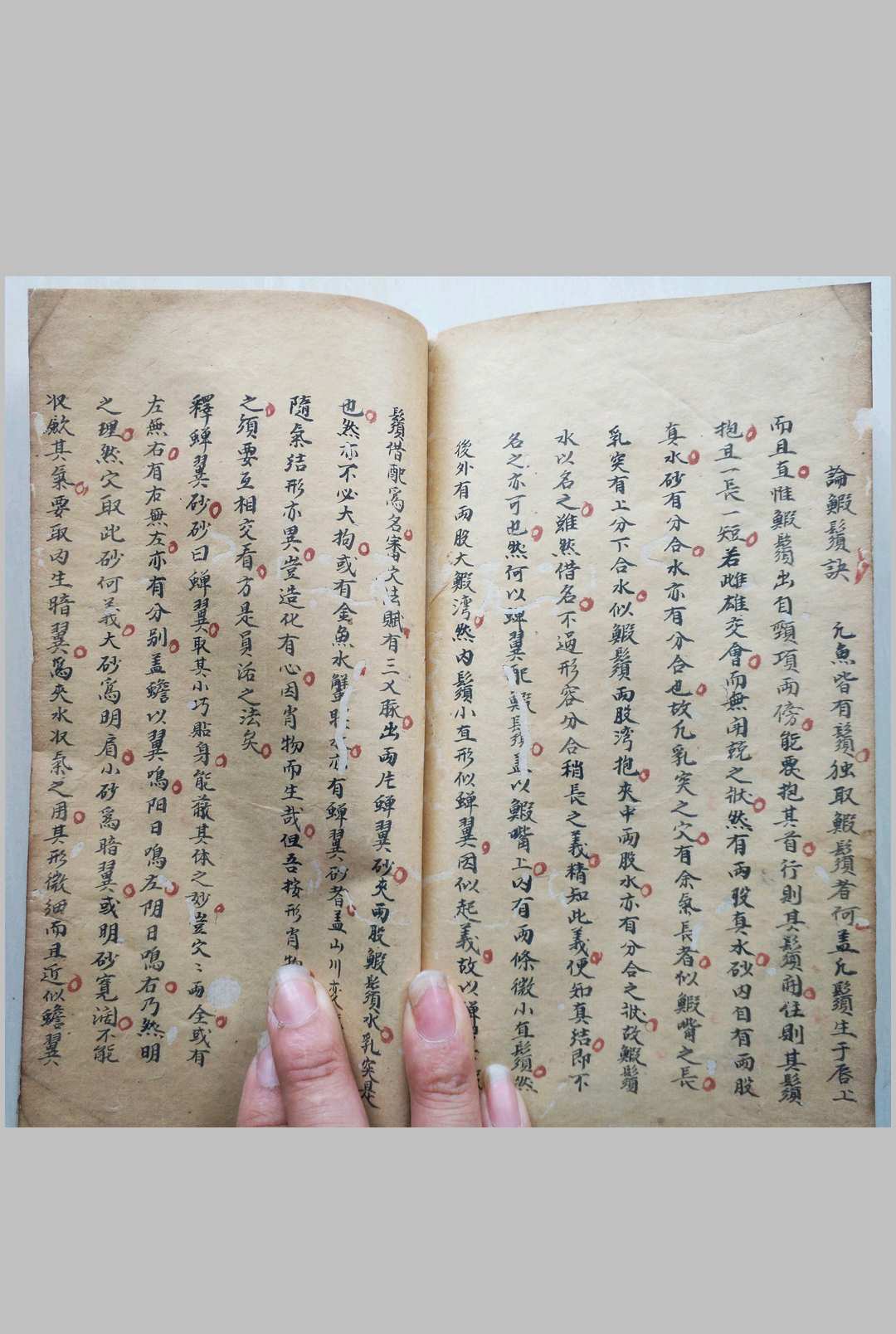 图片[20]中华古籍网-专注古书收集峦头砂法堪舆秘诀中华古籍网-专注古书收集中华古籍网