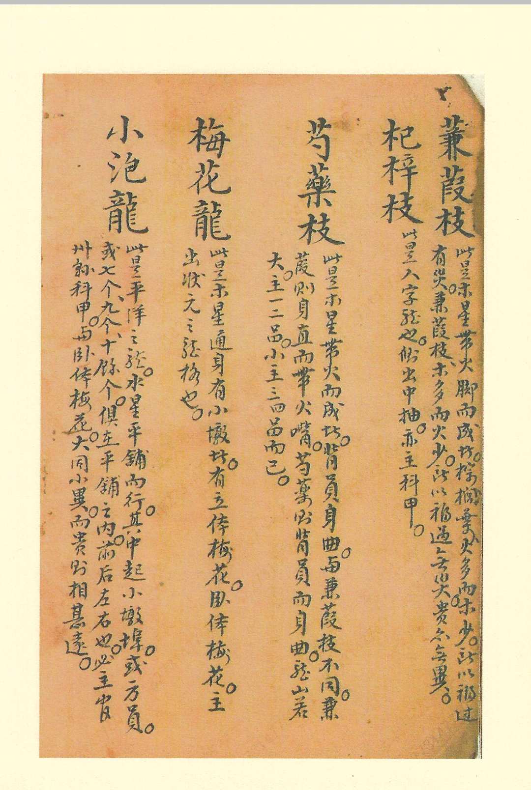 图片[4]中华古籍网-专注古书收集曾文辿公家传秘诀中华古籍网-专注古书收集中华古籍网