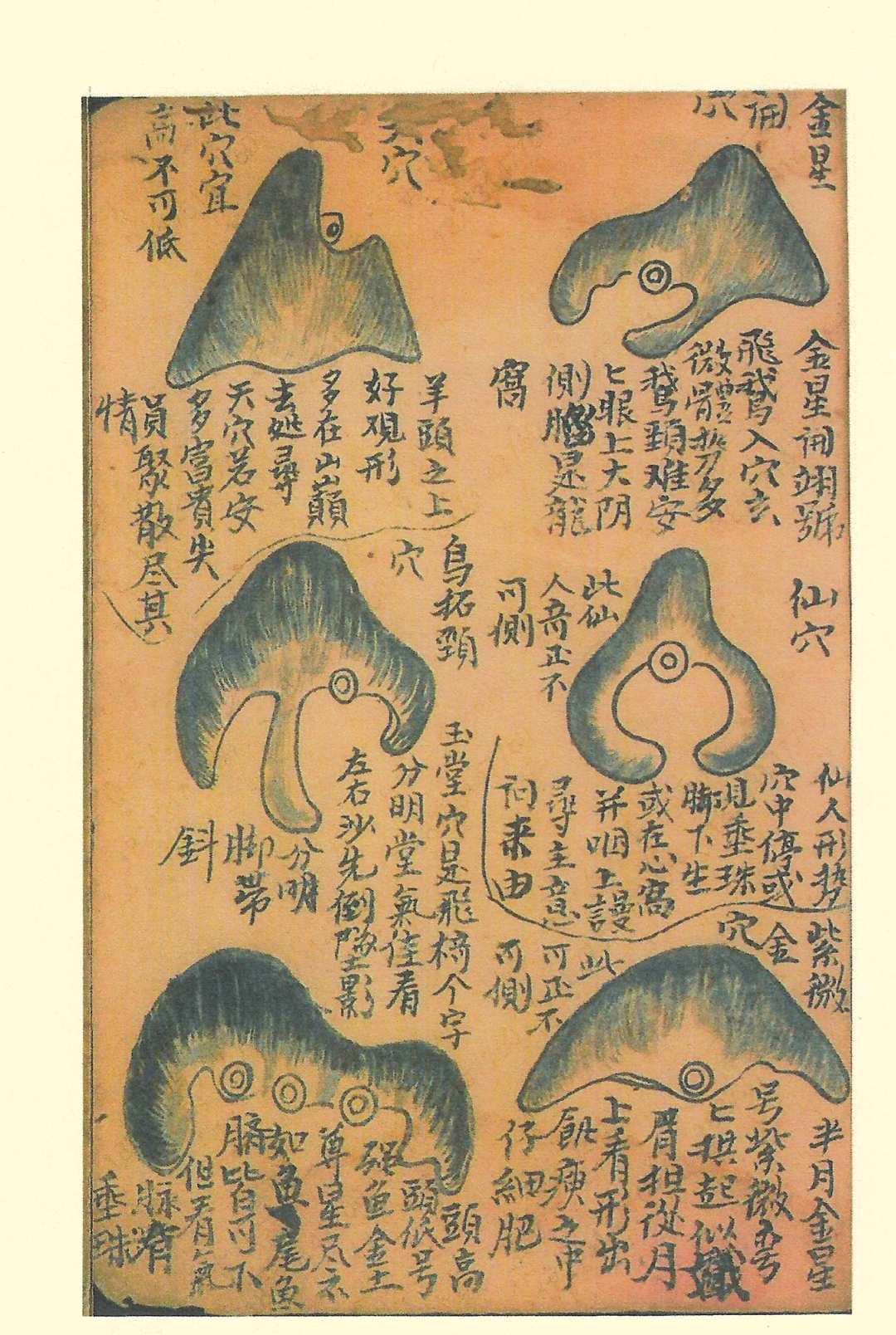 图片[24]中华古籍网-专注古书收集曾文辿公家传秘诀中华古籍网-专注古书收集中华古籍网