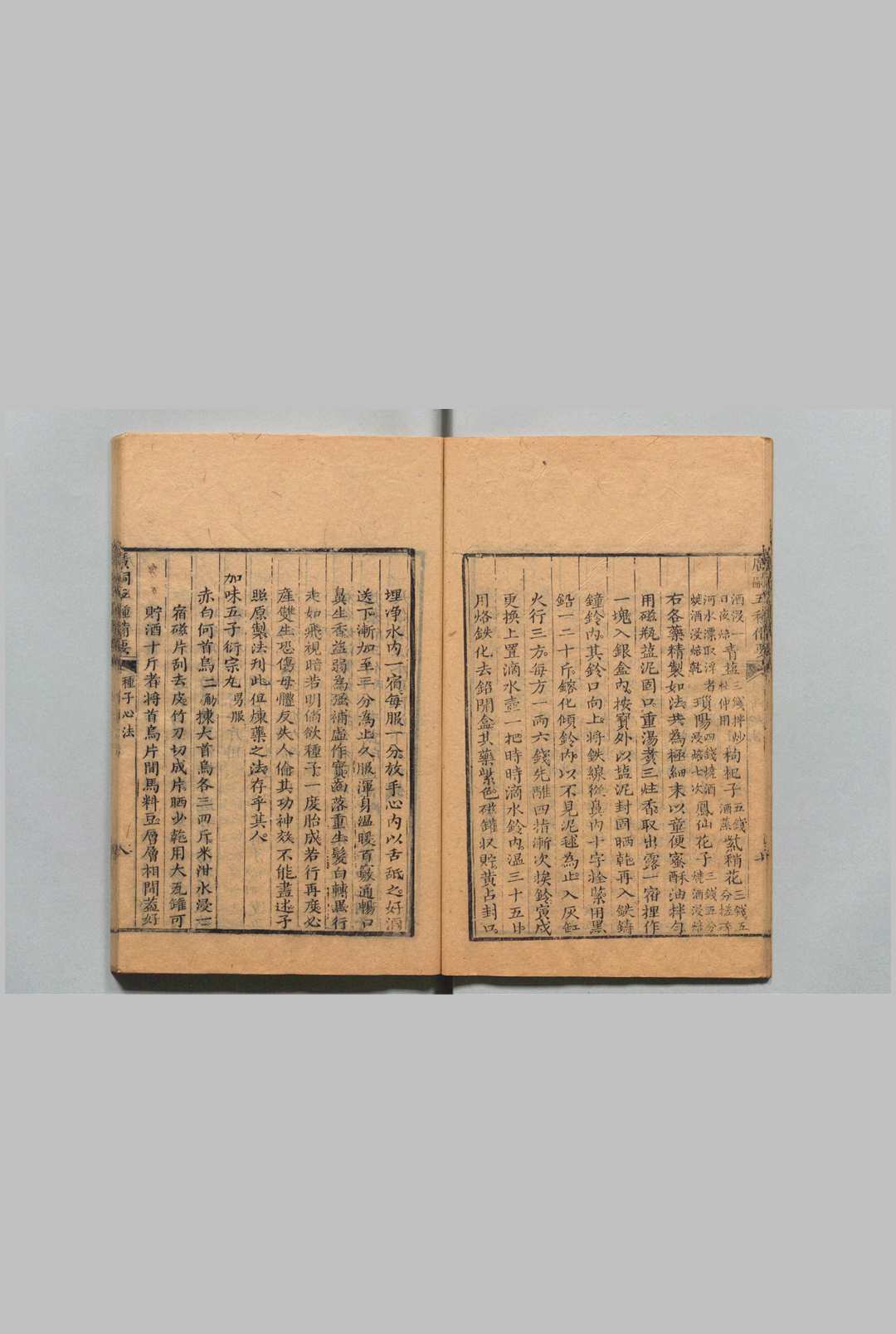 图片[6]中华古籍网-专注古书收集广嗣五种备要 王实颖 清道光元年中华古籍网-专注古书收集中华古籍网