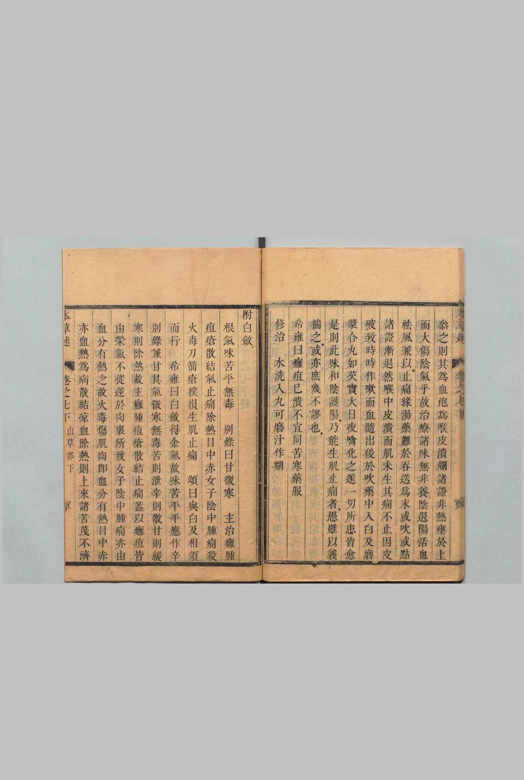 图片[11]中华古籍网-专注古书收集本草述刘若金 清康熙38年中华古籍网-专注古书收集中华古籍网