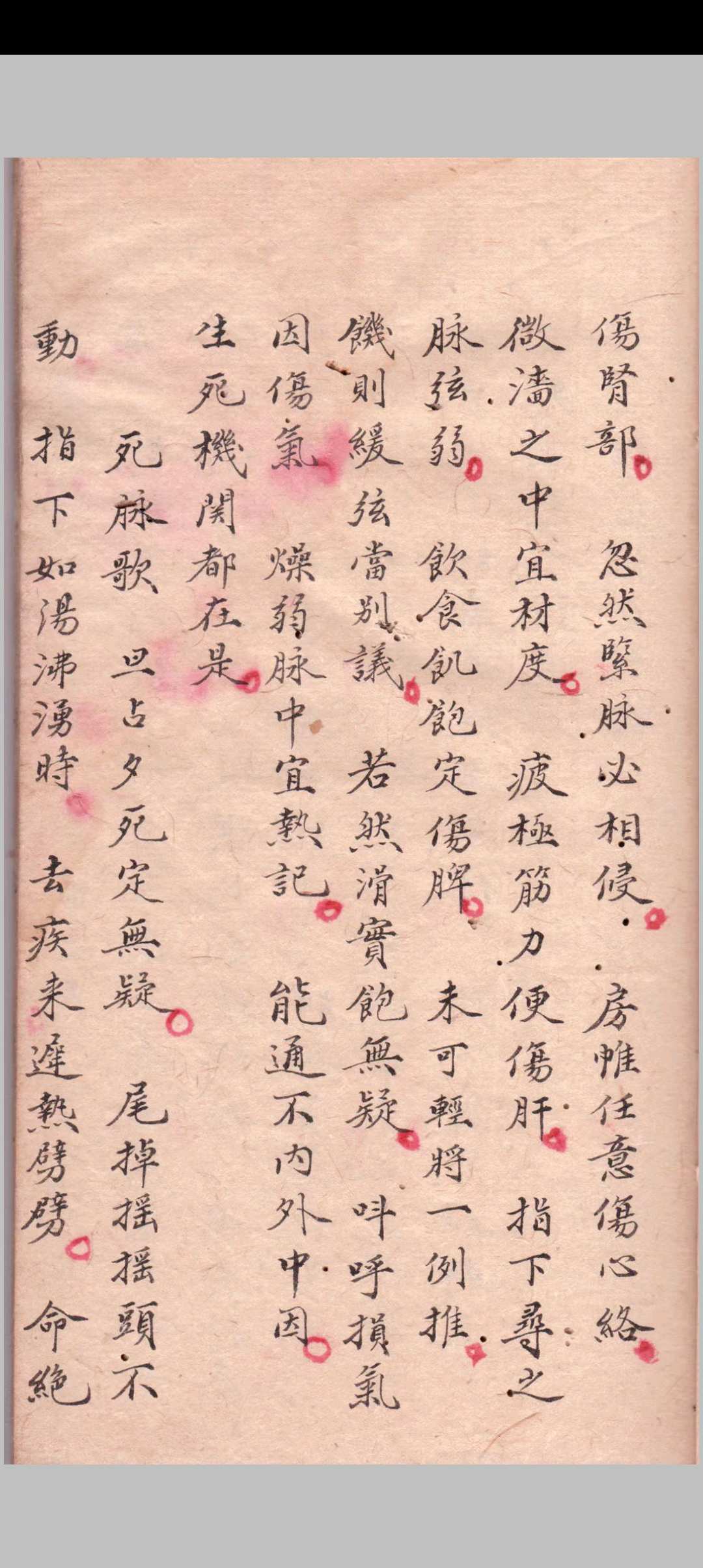 图片[6]-中华古籍网-专注古书收集1864《秘传全集》医-中华古籍网-专注古书收集中华古籍网-专注古书收集
