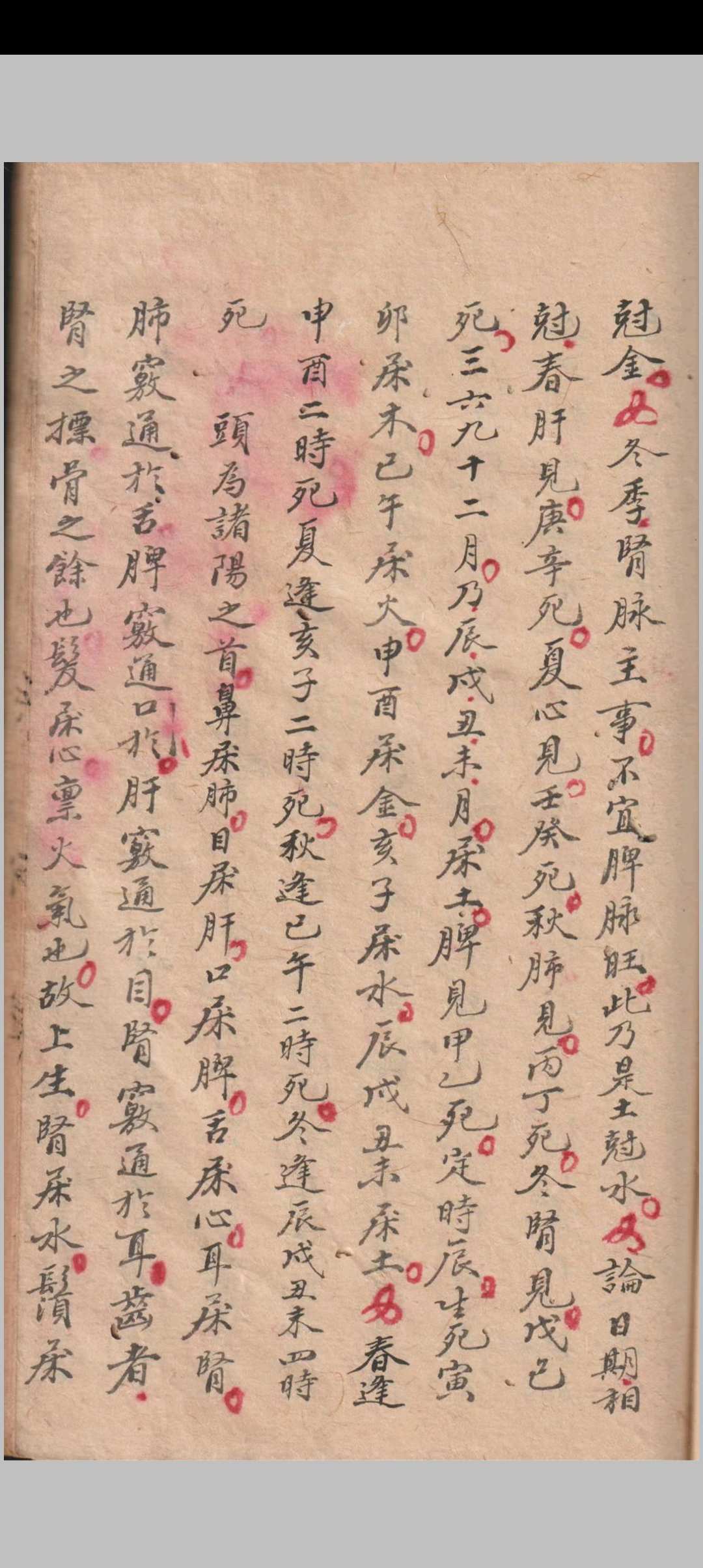 图片[7]-中华古籍网-专注古书收集1864《秘传全集》医-中华古籍网-专注古书收集中华古籍网-专注古书收集