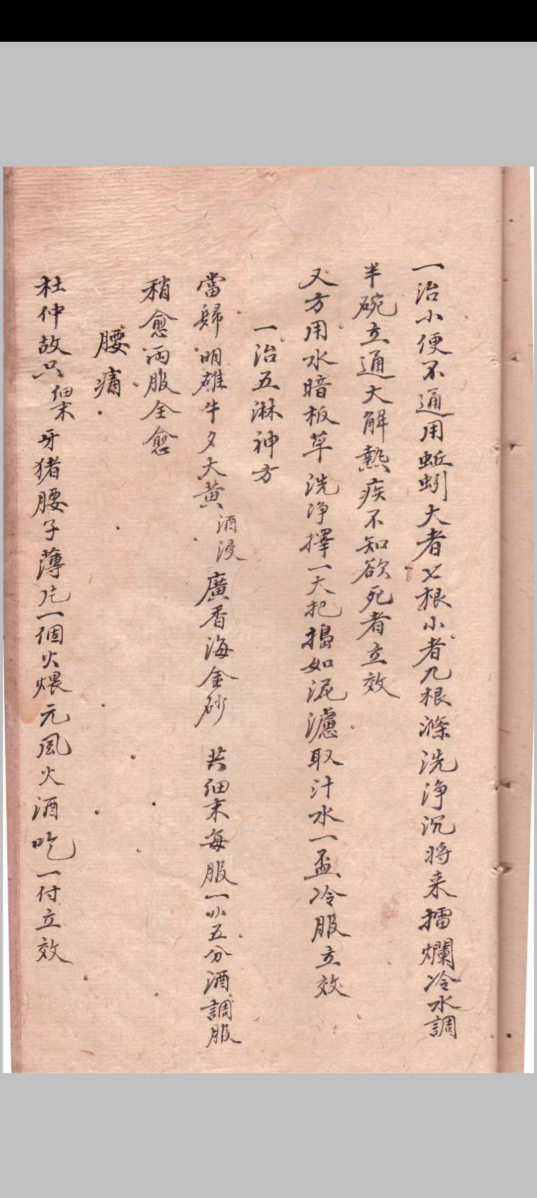 图片[13]-中华古籍网-专注古书收集1864《秘传全集》医-中华古籍网-专注古书收集中华古籍网-专注古书收集