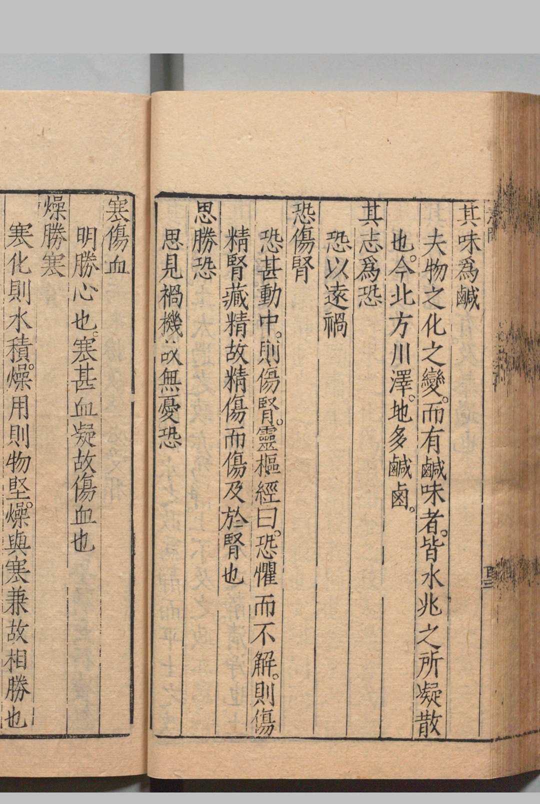 图片[13]中华古籍网-专注古书收集东垣先生伤寒正脉 王执中 姚臣 明万历8年中华古籍网-专注古书收集中华古籍网