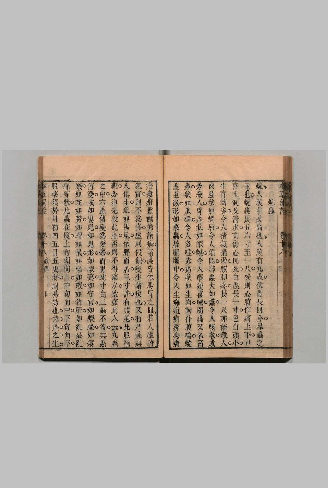 图片[10]中华古籍网-专注古书收集本草洞诠 沈穆 顺治18年中华古籍网-专注古书收集中华古籍网