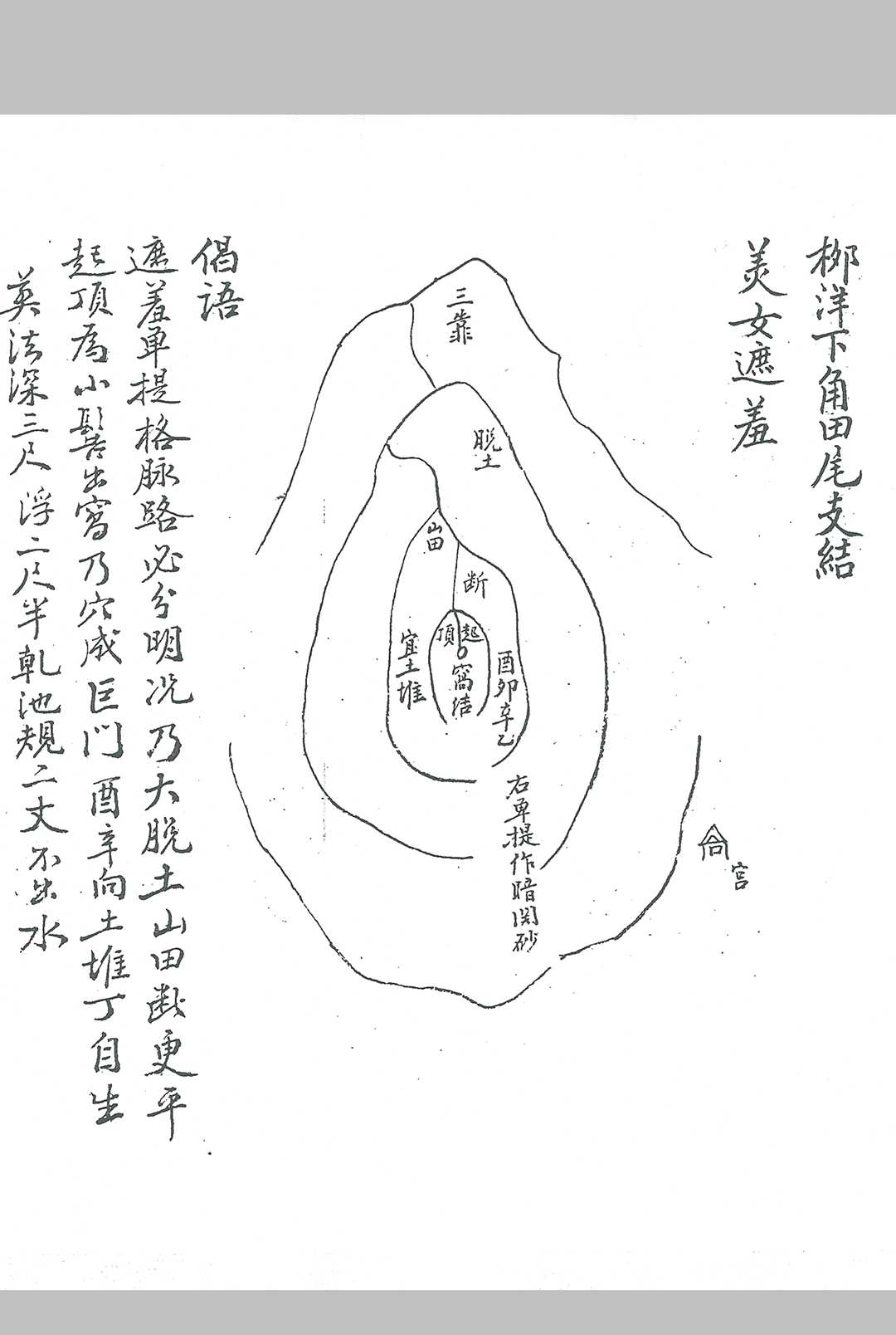 图片[5]-中华古籍网-专注古书收集清源钟秀记  题留地-中华古籍网-专注古书收集中华古籍网-专注古书收集