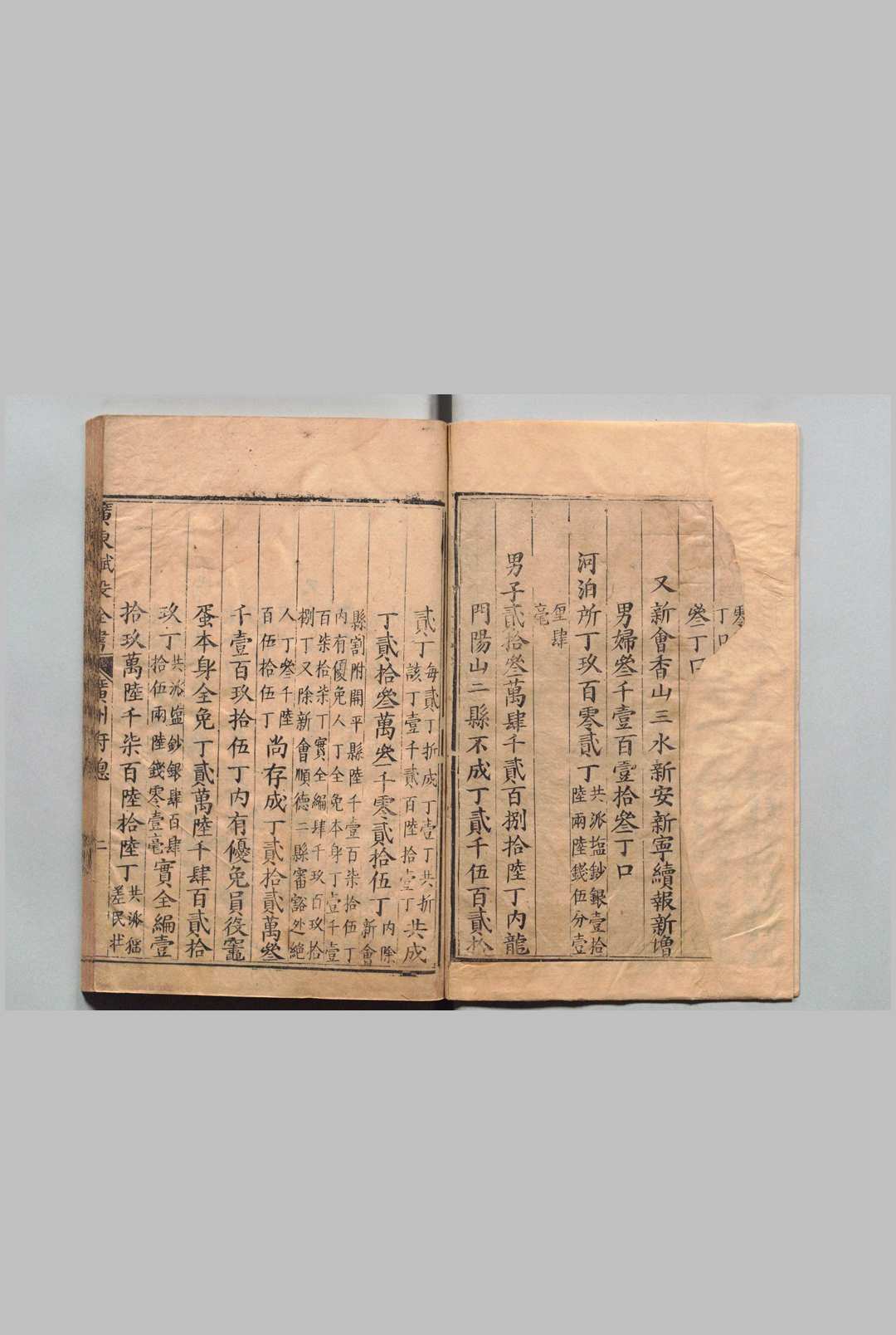 图片[2]中华古籍网-专注古书收集广东府赋役全书 王弘祚（清）中华古籍网-专注古书收集中华古籍网