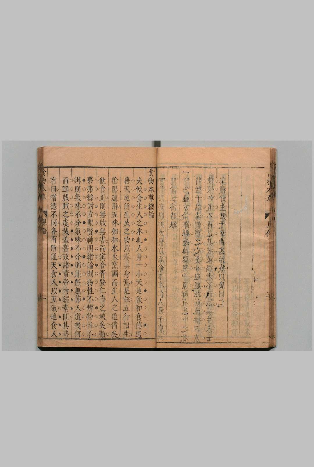 图片[7]中华古籍网-专注古书收集食物本草 李时珍 明崇祯11年中华古籍网-专注古书收集中华古籍网