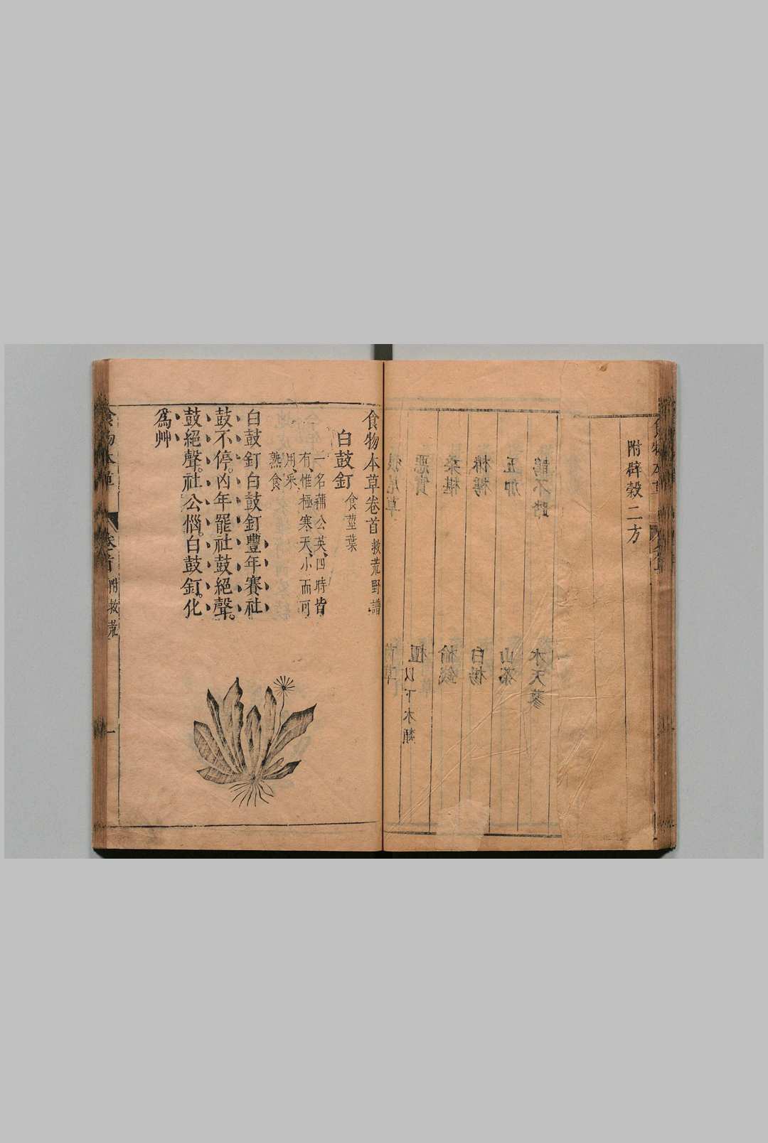 图片[11]中华古籍网-专注古书收集食物本草 李时珍 明崇祯11年中华古籍网-专注古书收集中华古籍网