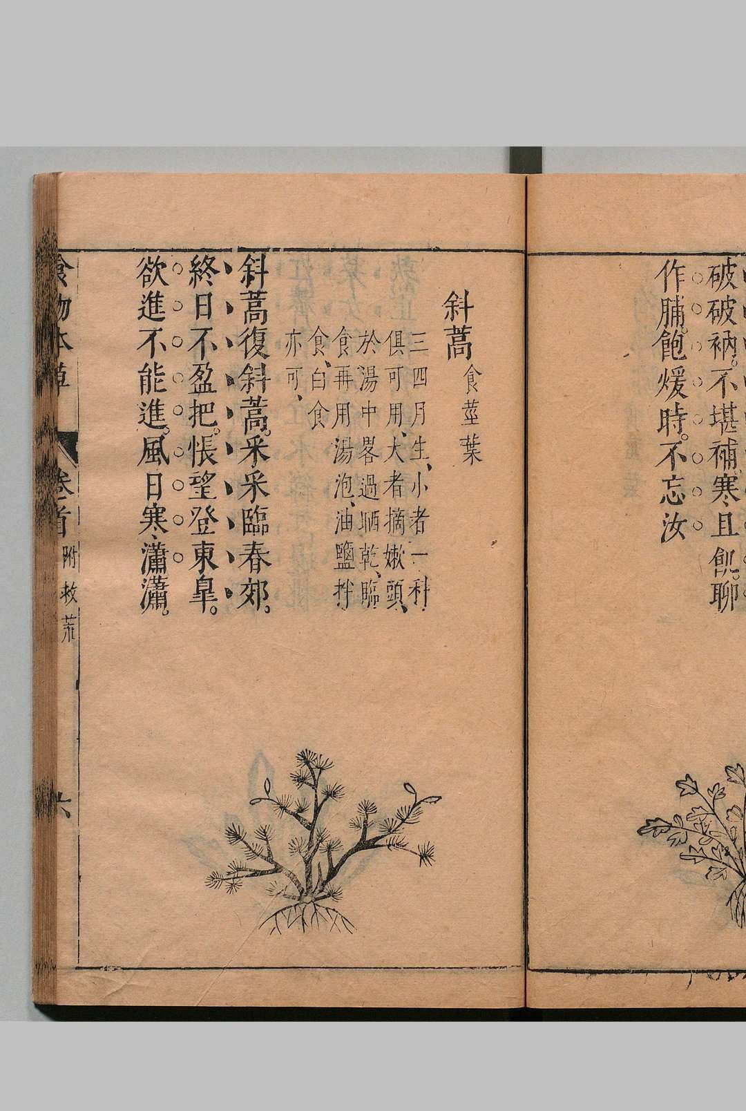 图片[10]中华古籍网-专注古书收集食物本草 李时珍 明崇祯11年中华古籍网-专注古书收集中华古籍网