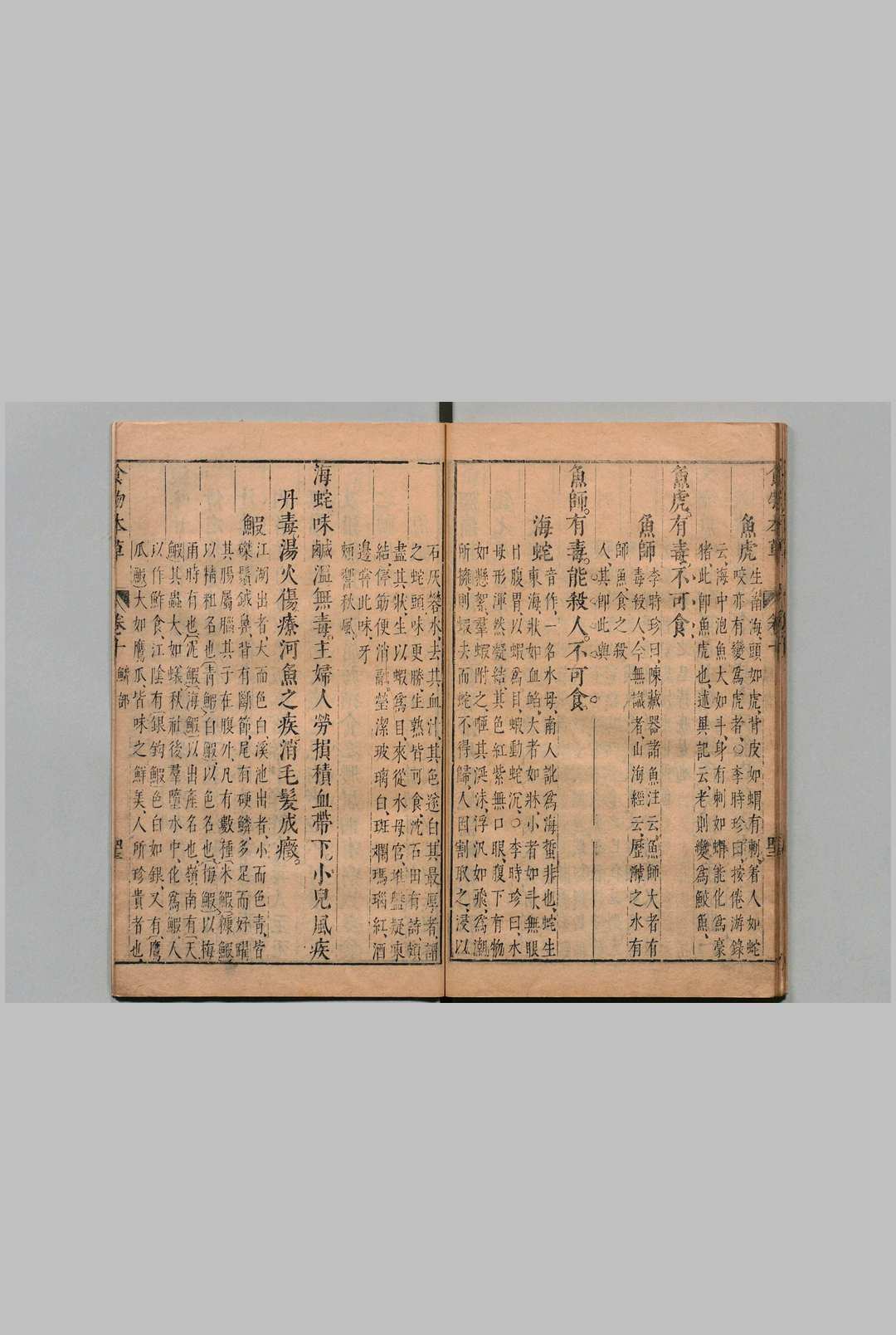 图片[12]中华古籍网-专注古书收集食物本草 李时珍 明崇祯11年中华古籍网-专注古书收集中华古籍网