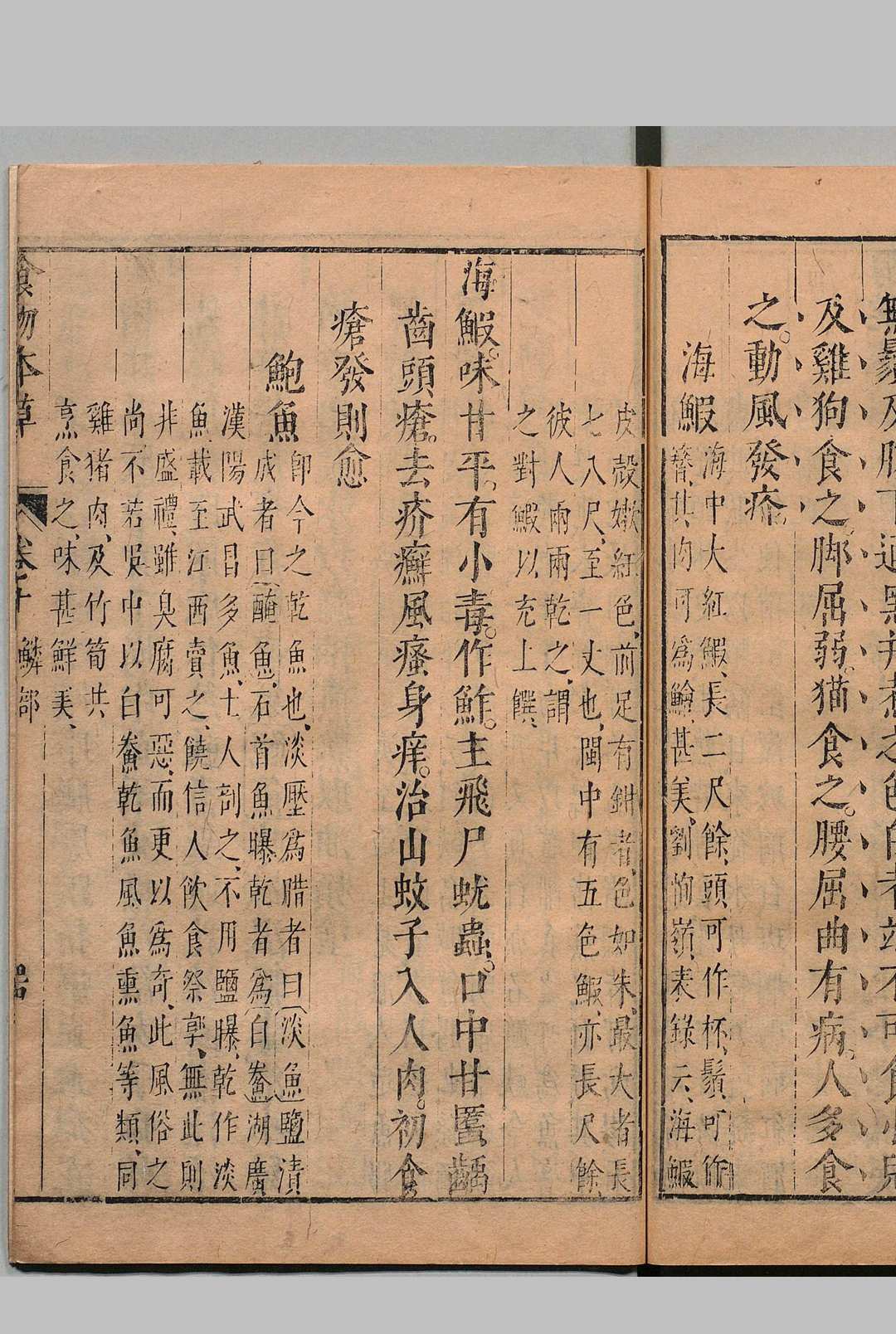 图片[14]中华古籍网-专注古书收集食物本草 李时珍 明崇祯11年中华古籍网-专注古书收集中华古籍网