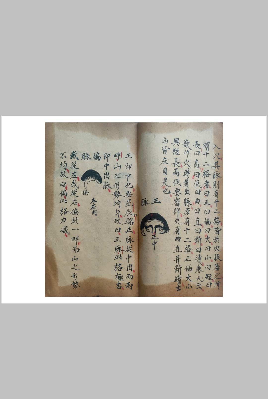 图片[4]-中华古籍网-专注古书收集杨公地理秘诀-中华古籍网-专注古书收集中华古籍网-专注古书收集