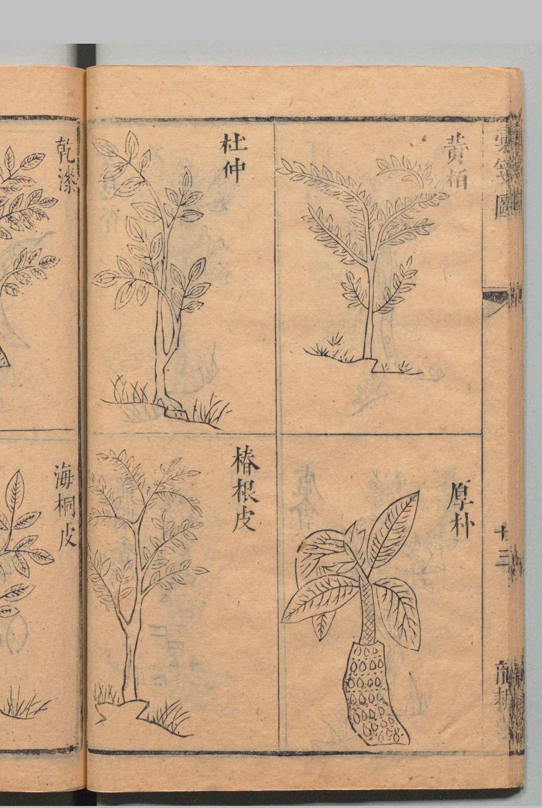 图片[9]中华古籍网-专注古书收集本草汇笺 10卷 总略１卷 图１卷 顾元交（明）清刊本中华古籍网-专注古书收集中华古籍网