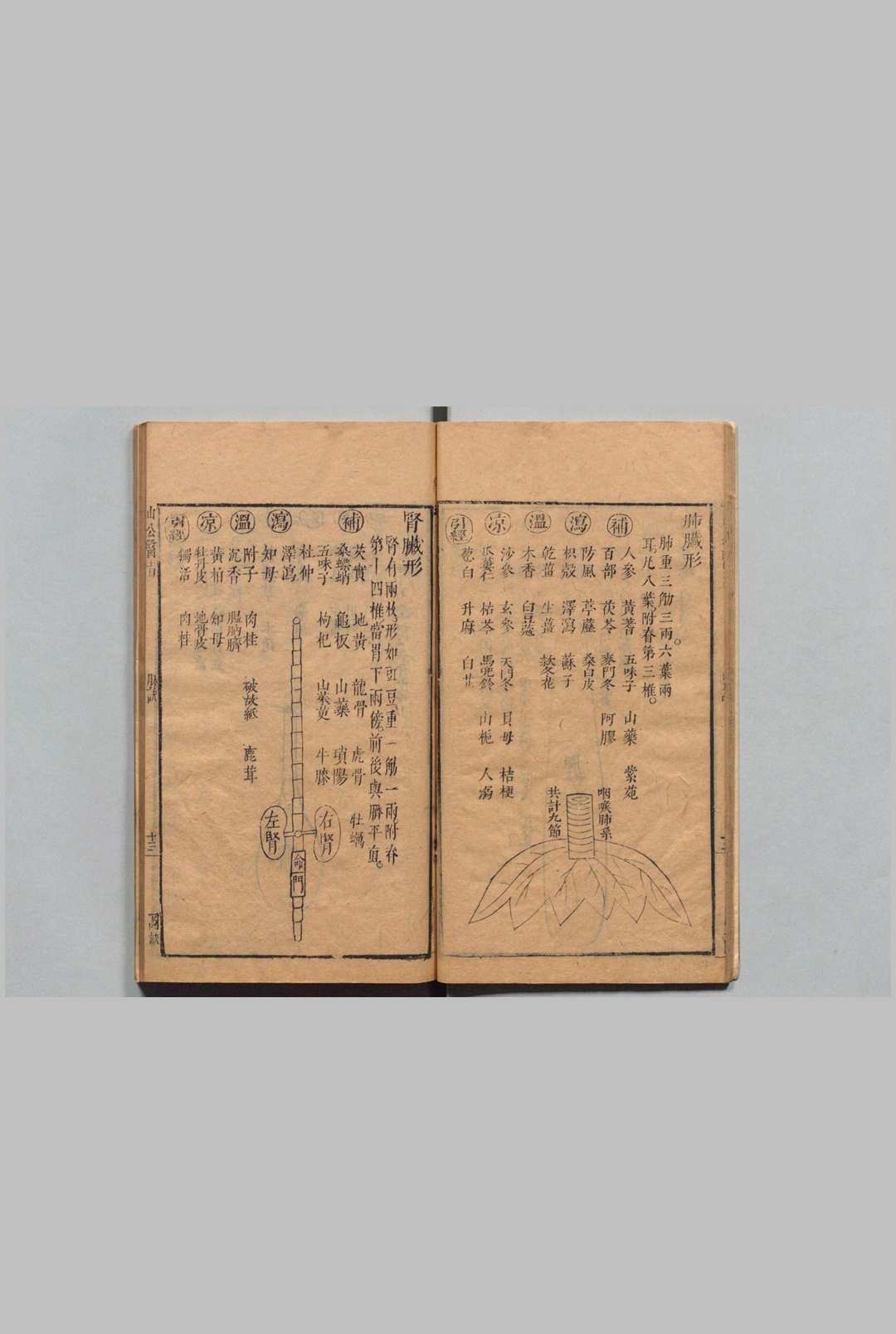 图片[10]中华古籍网-专注古书收集山公医旨食物类 施永图（明）刊本 ,明末中华古籍网-专注古书收集中华古籍网