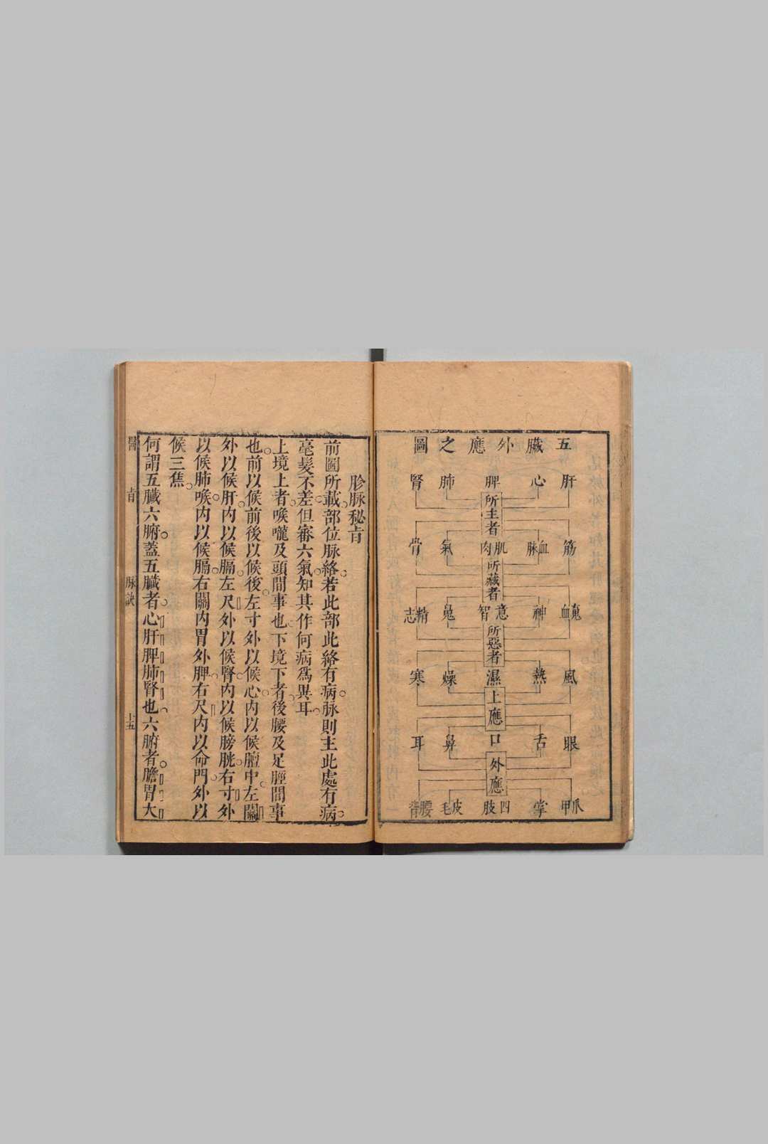 图片[8]中华古籍网-专注古书收集山公医旨食物类 施永图（明）刊本 ,明末中华古籍网-专注古书收集中华古籍网