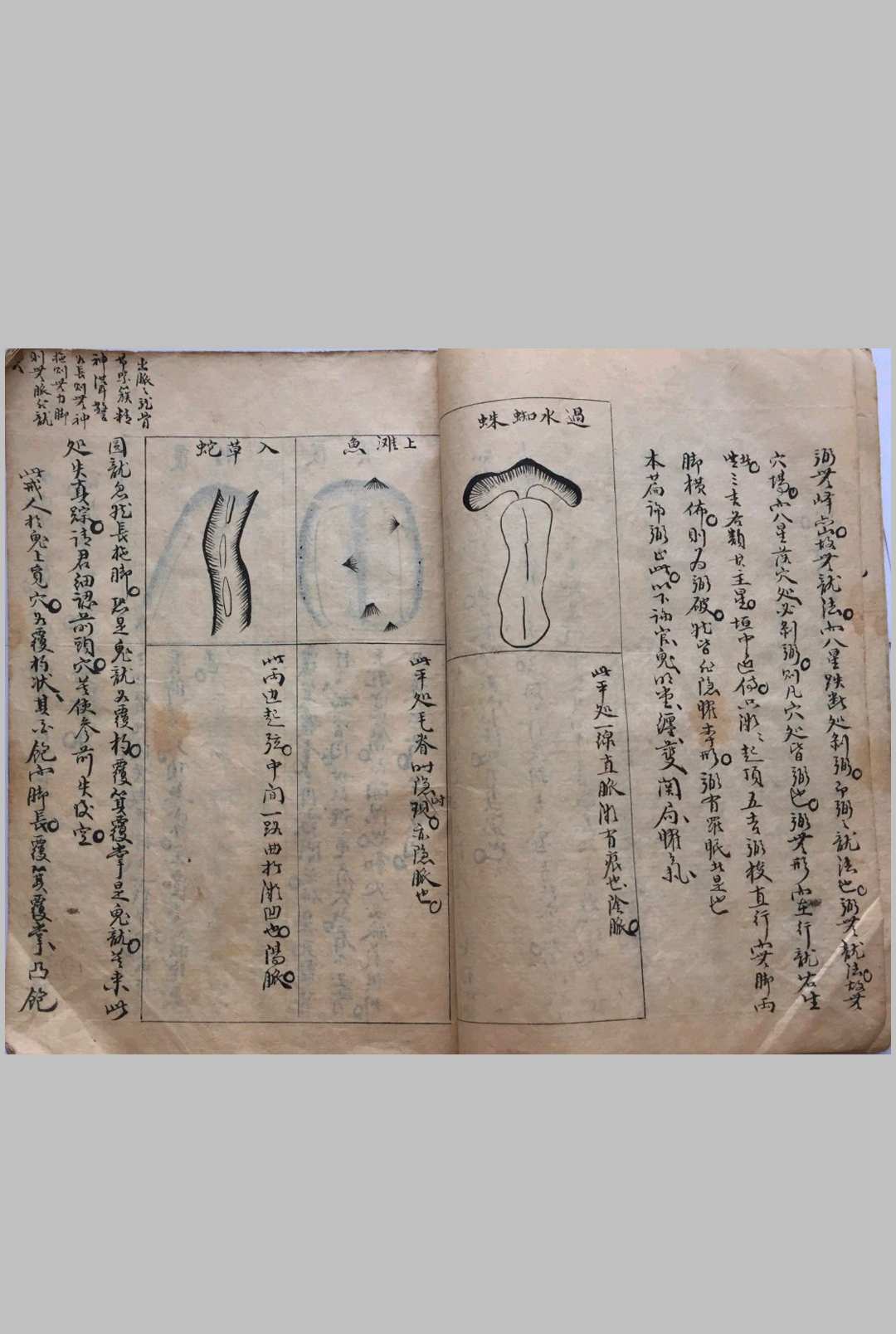 图片[6]中华古籍网-专注古书收集撼龙正书中华古籍网-专注古书收集中华古籍网