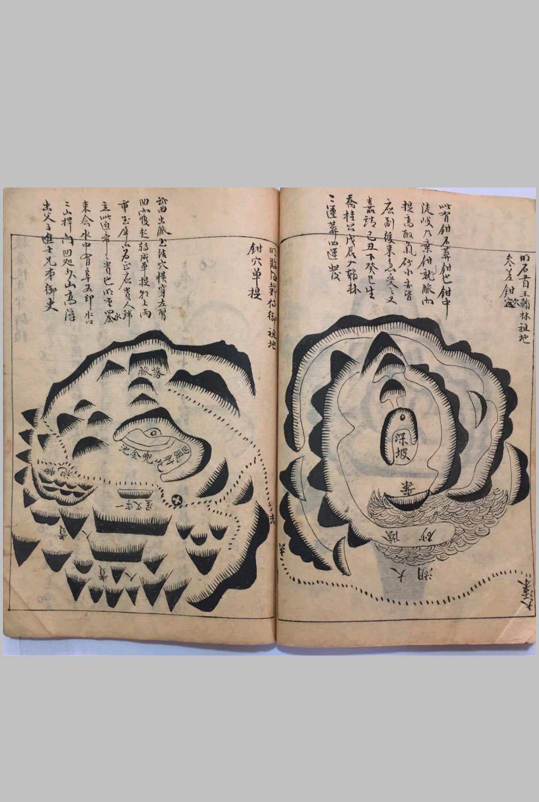 图片[9]中华古籍网-专注古书收集撼龙正书中华古籍网-专注古书收集中华古籍网