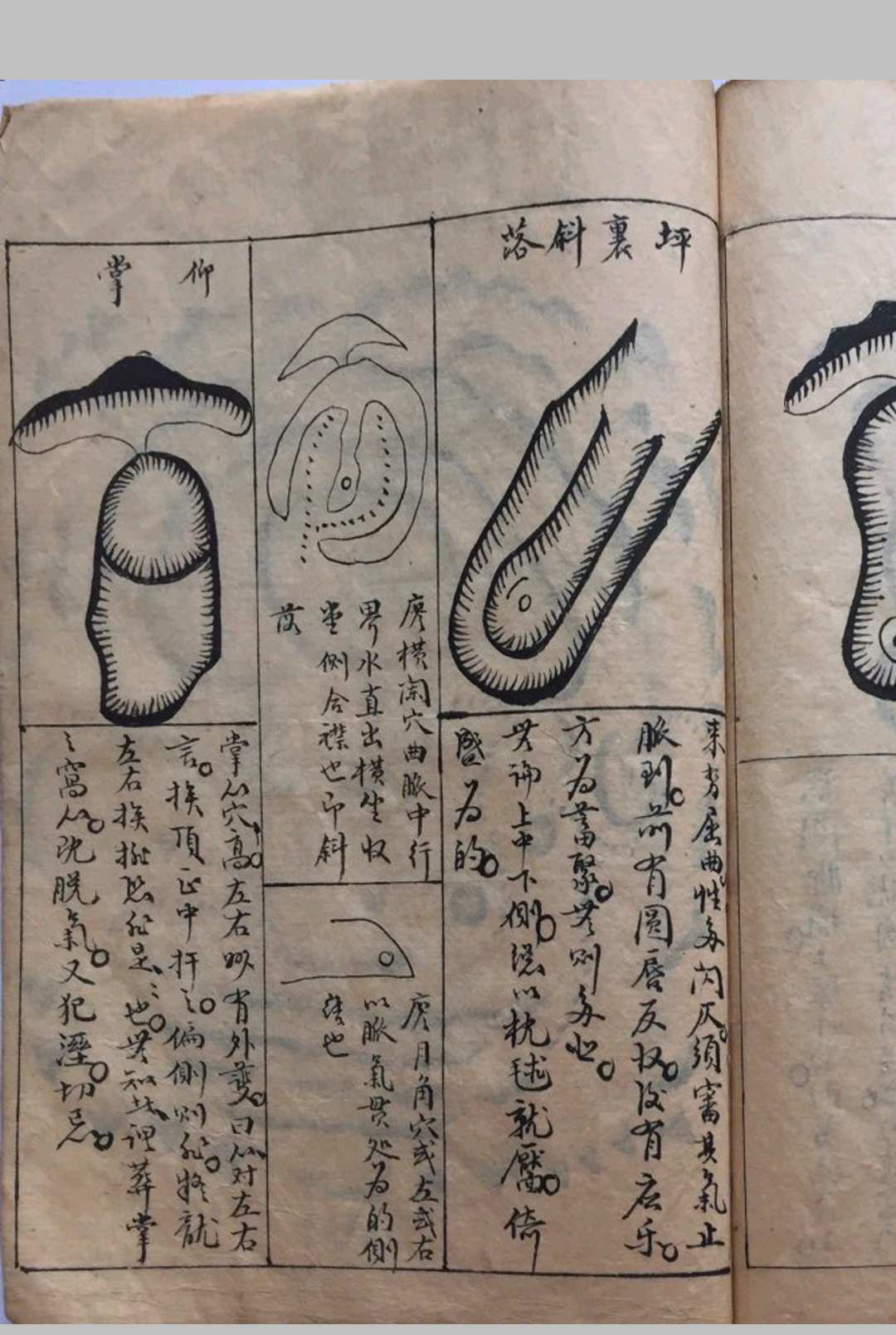 图片[12]中华古籍网-专注古书收集撼龙正书中华古籍网-专注古书收集中华古籍网