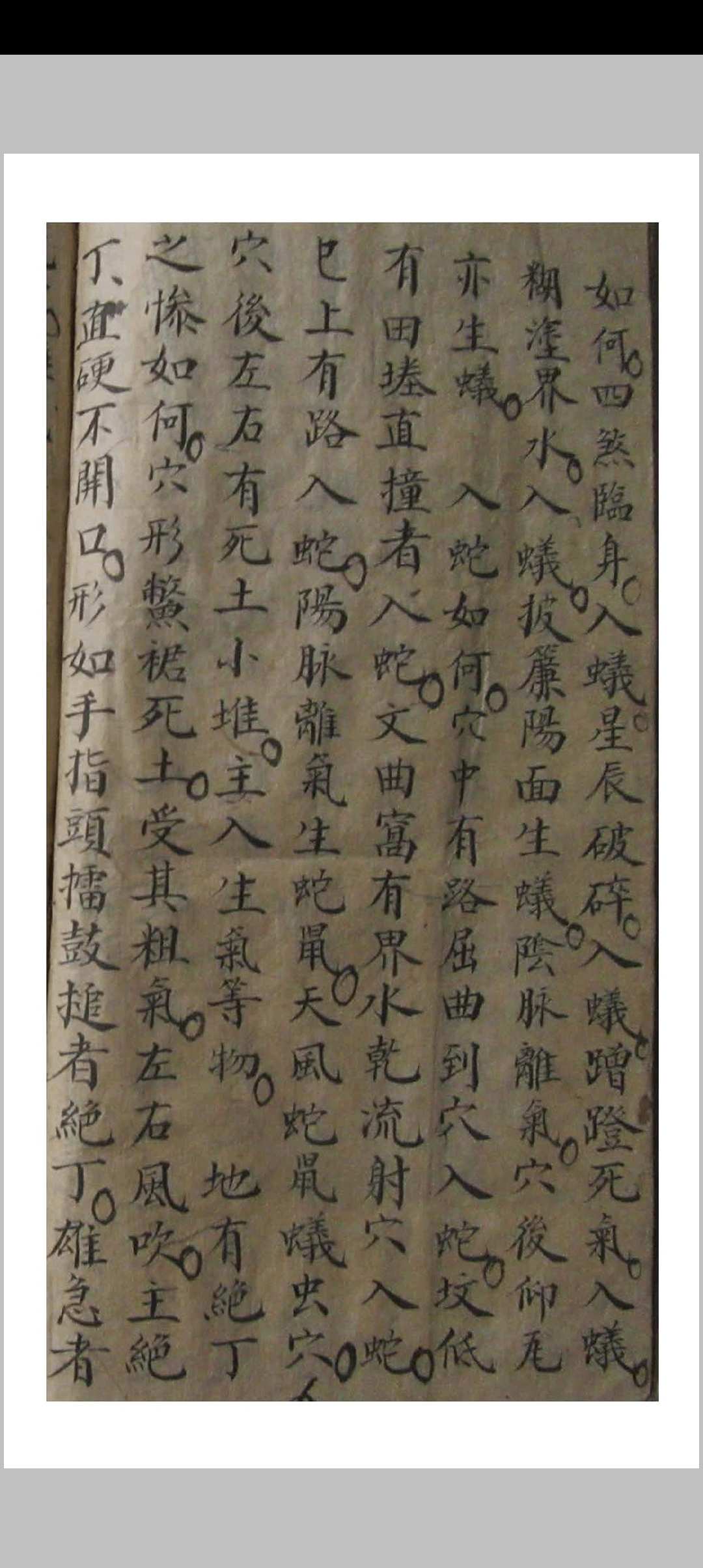 图片[24]-中华古籍网-专注古书收集家传杨公地理实用妙诀-中华古籍网-专注古书收集中华古籍网-专注古书收集