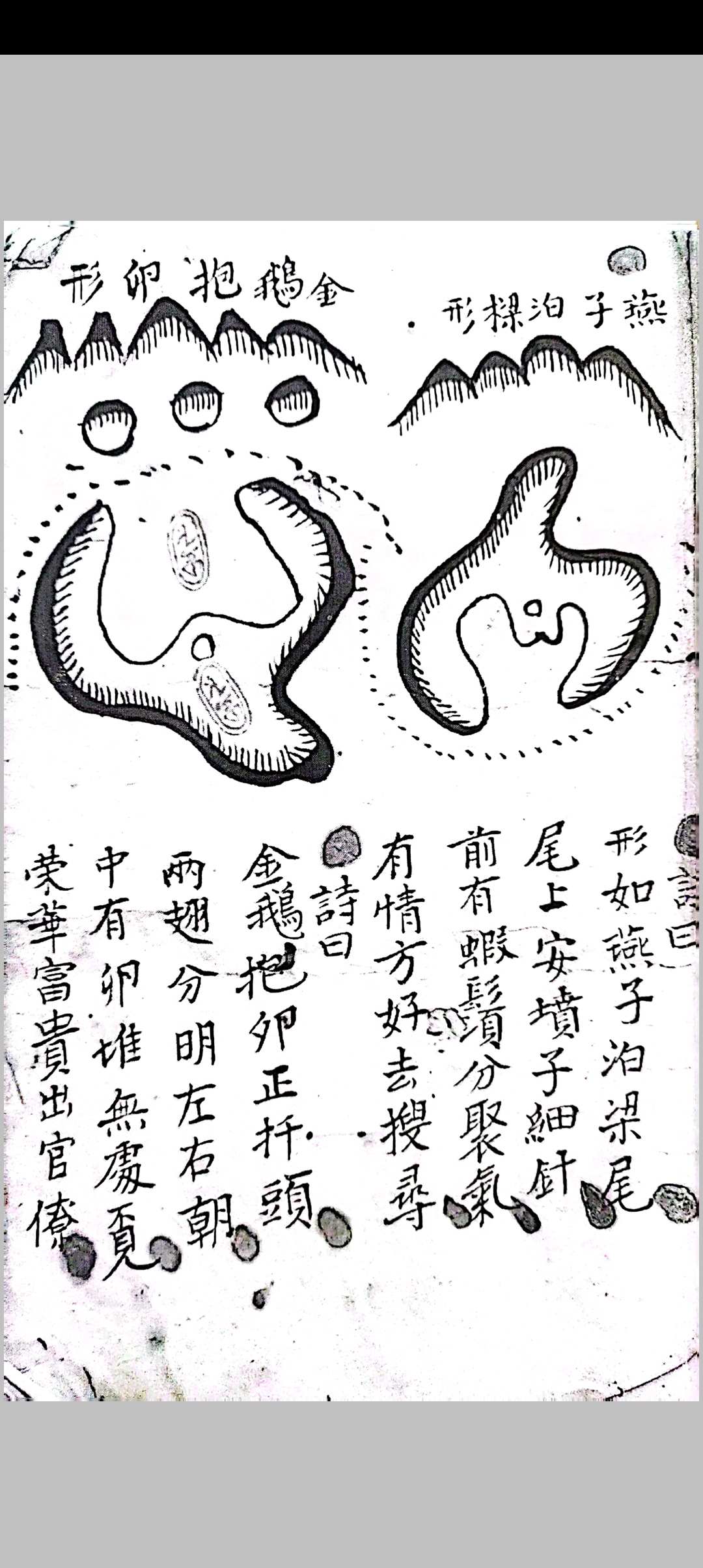 图片[2]-中华古籍网-专注古书收集地理三百六十形秘诀宗要-中华古籍网-专注古书收集中华古籍网-专注古书收集