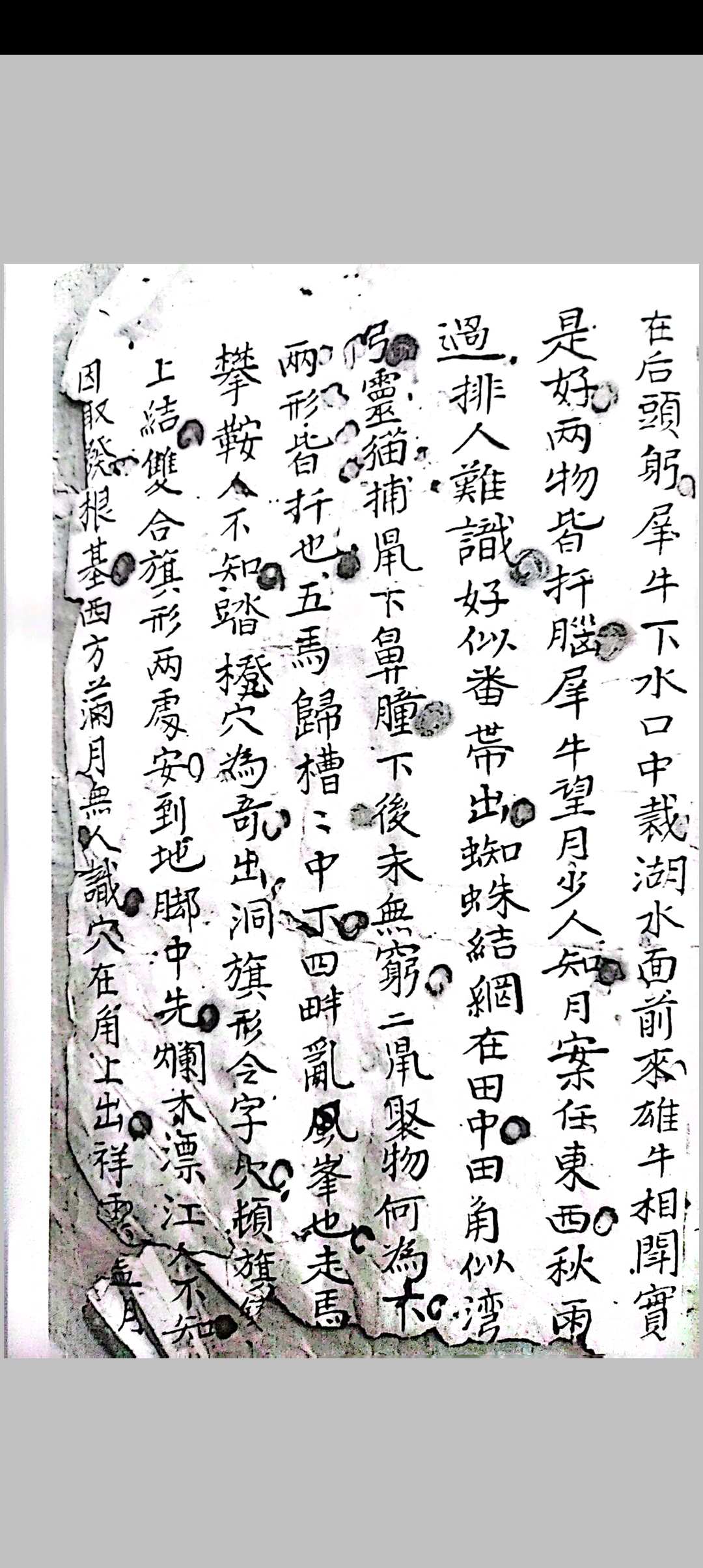 图片[12]-中华古籍网-专注古书收集地理三百六十形秘诀宗要-中华古籍网-专注古书收集中华古籍网-专注古书收集