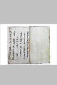 天皇雷祖血脉秘宝（天皇至宝）-中华古籍网-专注古书收集中华古籍网-专注古书收集