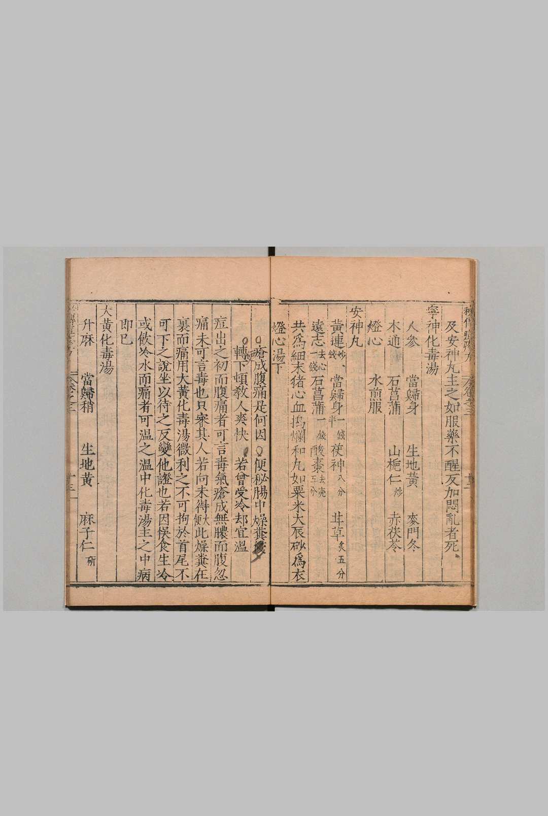 图片[5]中华古籍网-专注古书收集秘传经验痘疹方 ４卷 黄廉,明万历元年中华古籍网-专注古书收集中华古籍网