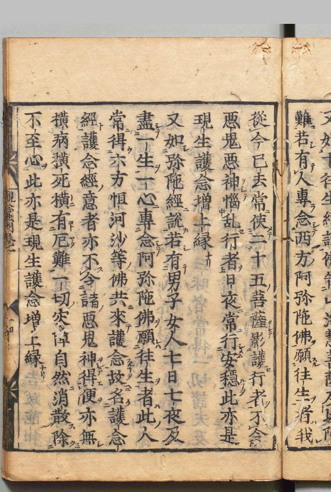 图片[5]-中华古籍网-专注古书收集观念阿弥陀佛相海三昧功德法门 释善导（唐） 刊本 ,江户-中华古籍网-专注古书收集中华古籍网-专注古书收集
