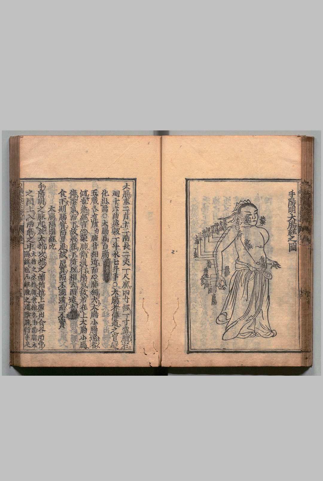 图片[12]中华古籍网-专注古书收集针灸聚英发挥 ８卷 高武（明）刊本 ,江户中华古籍网-专注古书收集中华古籍网