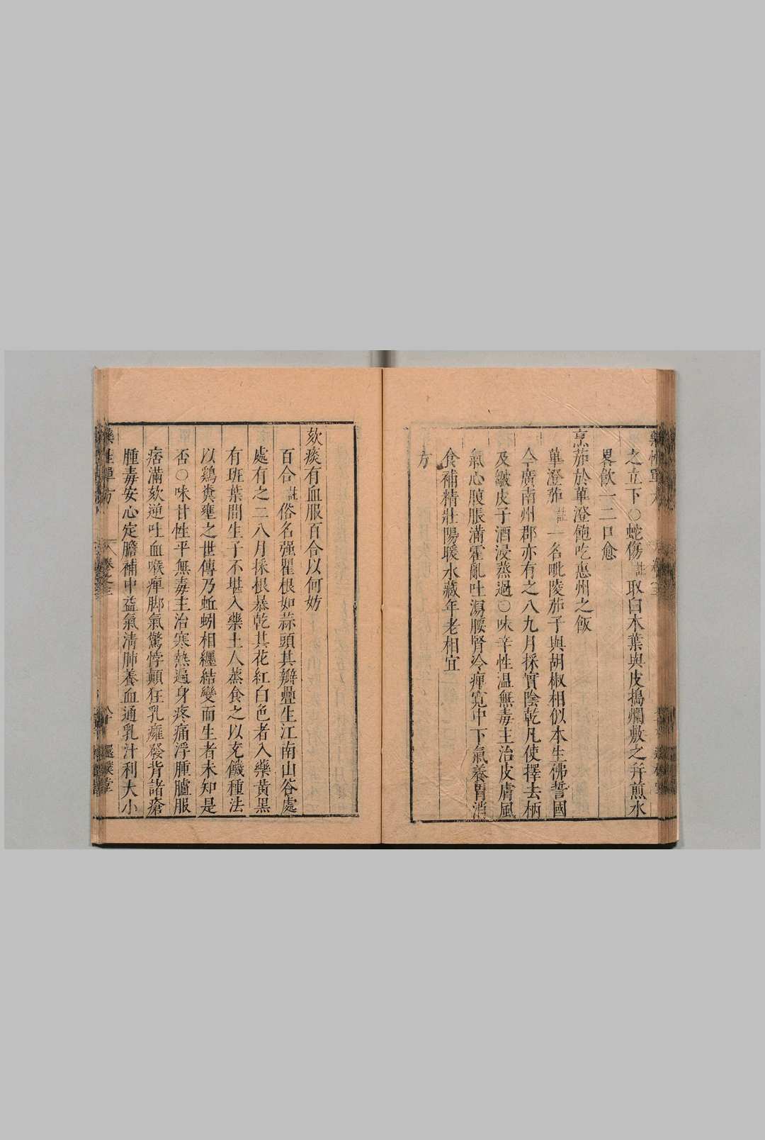 图片[4]中华古籍网-专注古书收集药性单方 张振先（明）还朴堂中华古籍网-专注古书收集中华古籍网