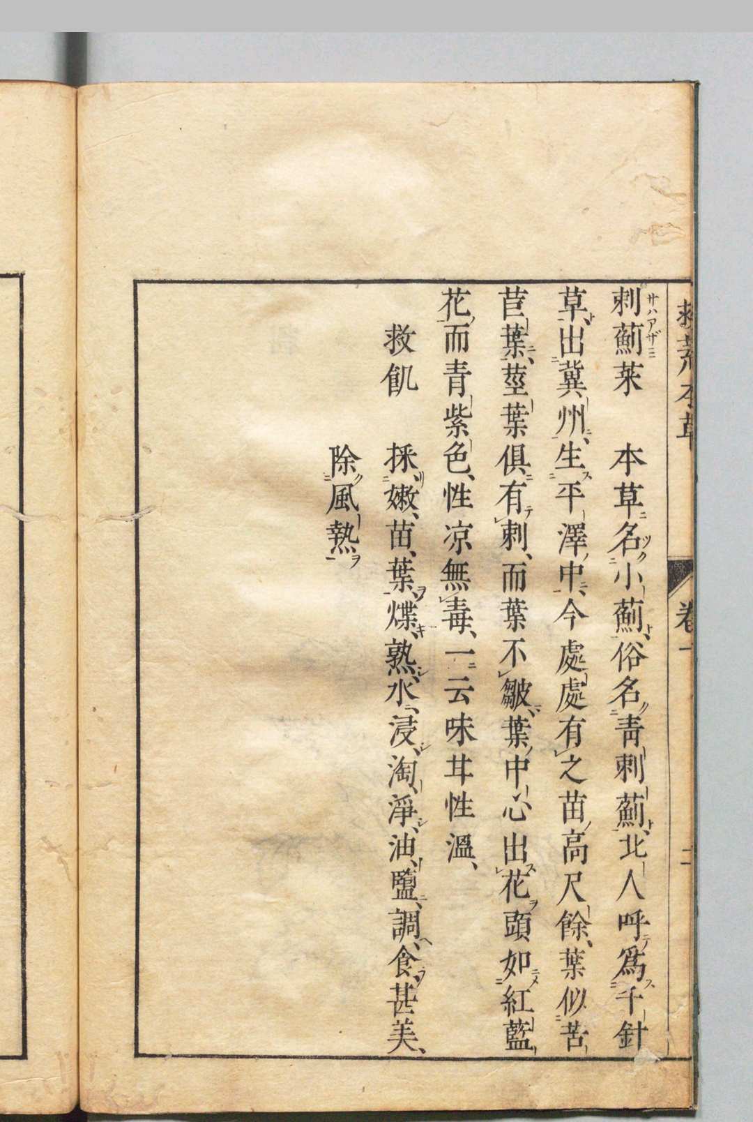 图片[6]中华古籍网-专注古书收集周宪王救荒本草 徐光启 王磐 明刊本中华古籍网-专注古书收集中华古籍网